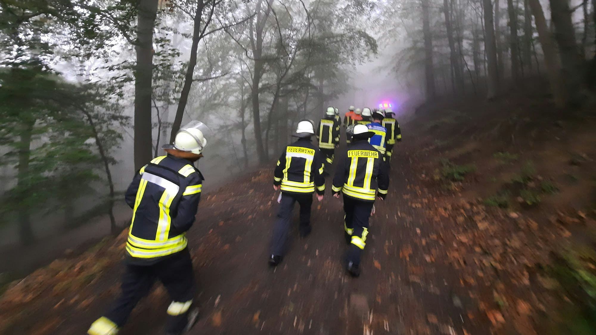 Feuerwehrmänner laufen hinter einem Feuerwehrauto durch den Wald.