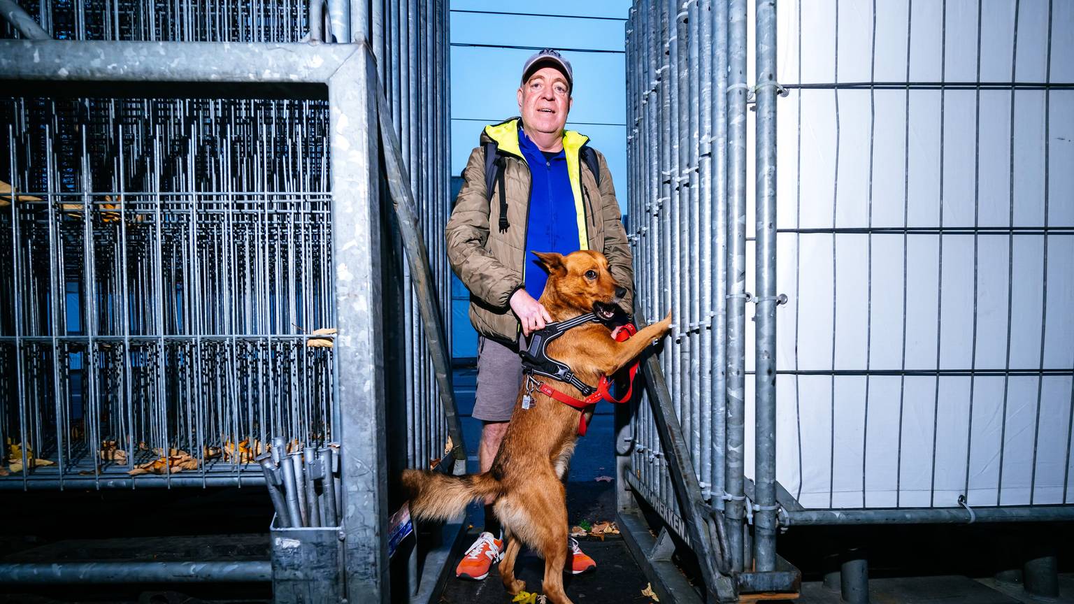 Enge Nummer: Andreas Gebauer und sein Hund Falko zwischen den aufgetürmten Zäunen auf der Zülpicher Straße.