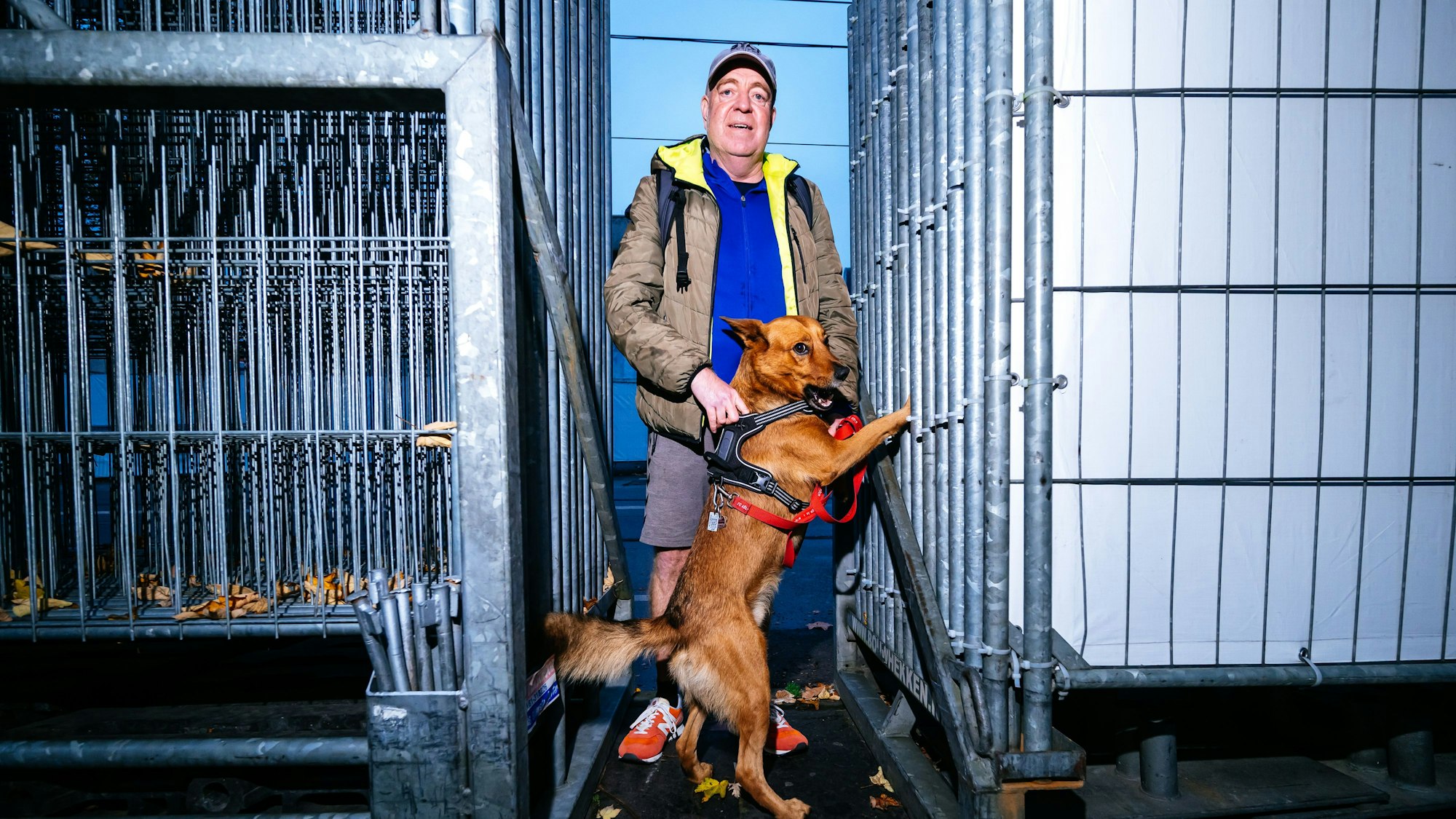 Enge Nummer: Andreas Gebauer und sein Hund Falko zwischen den aufgetürmten Zäunen auf der Zülpicher Straße.