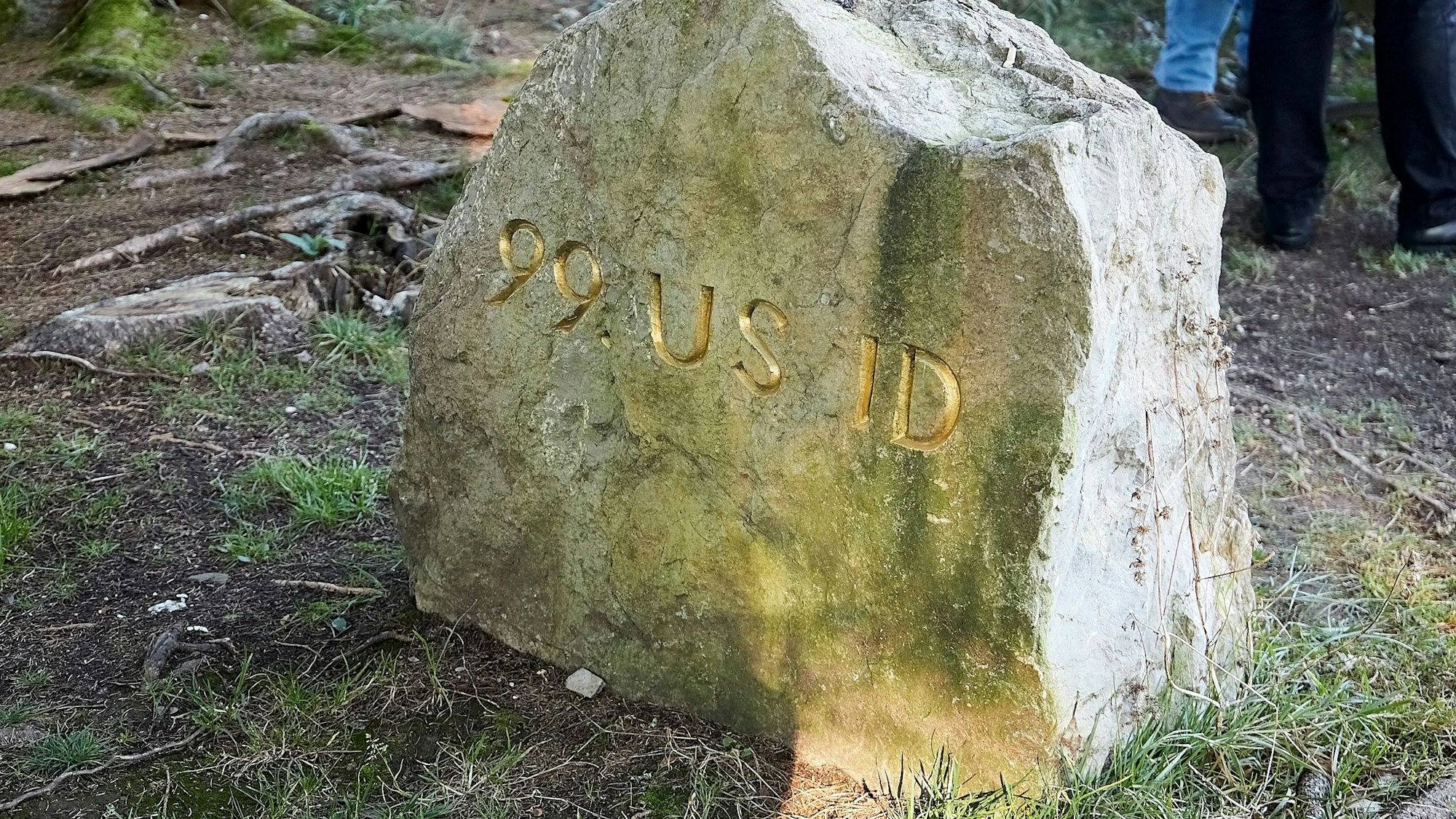 Ein Stein steht auf dem Waldboden mit der Inschrift: „99 US I D“.