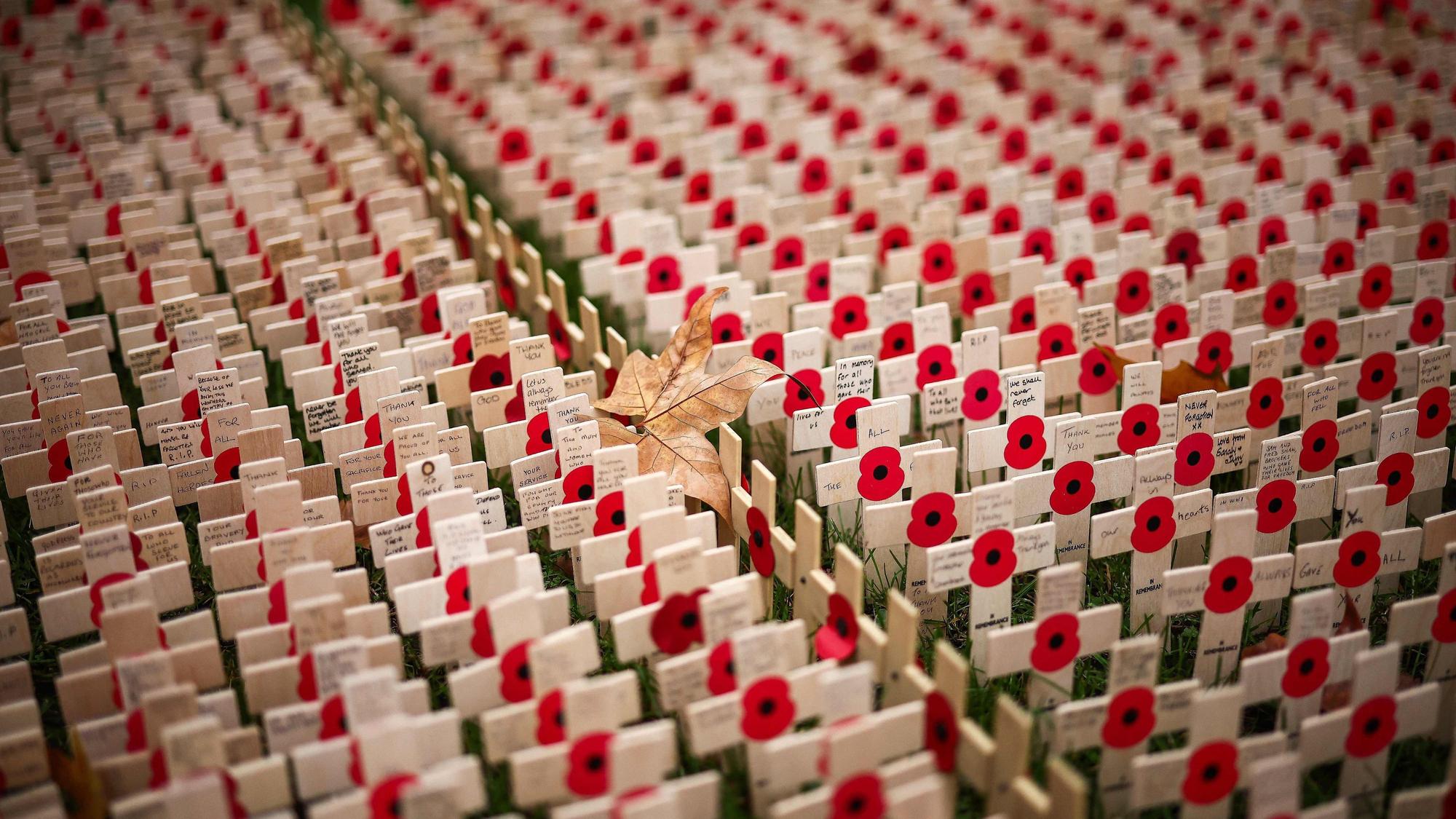 In Großbritannien und dem früheren Empire steht der „Poppy Day“ als Gedenktag im Kalender.
