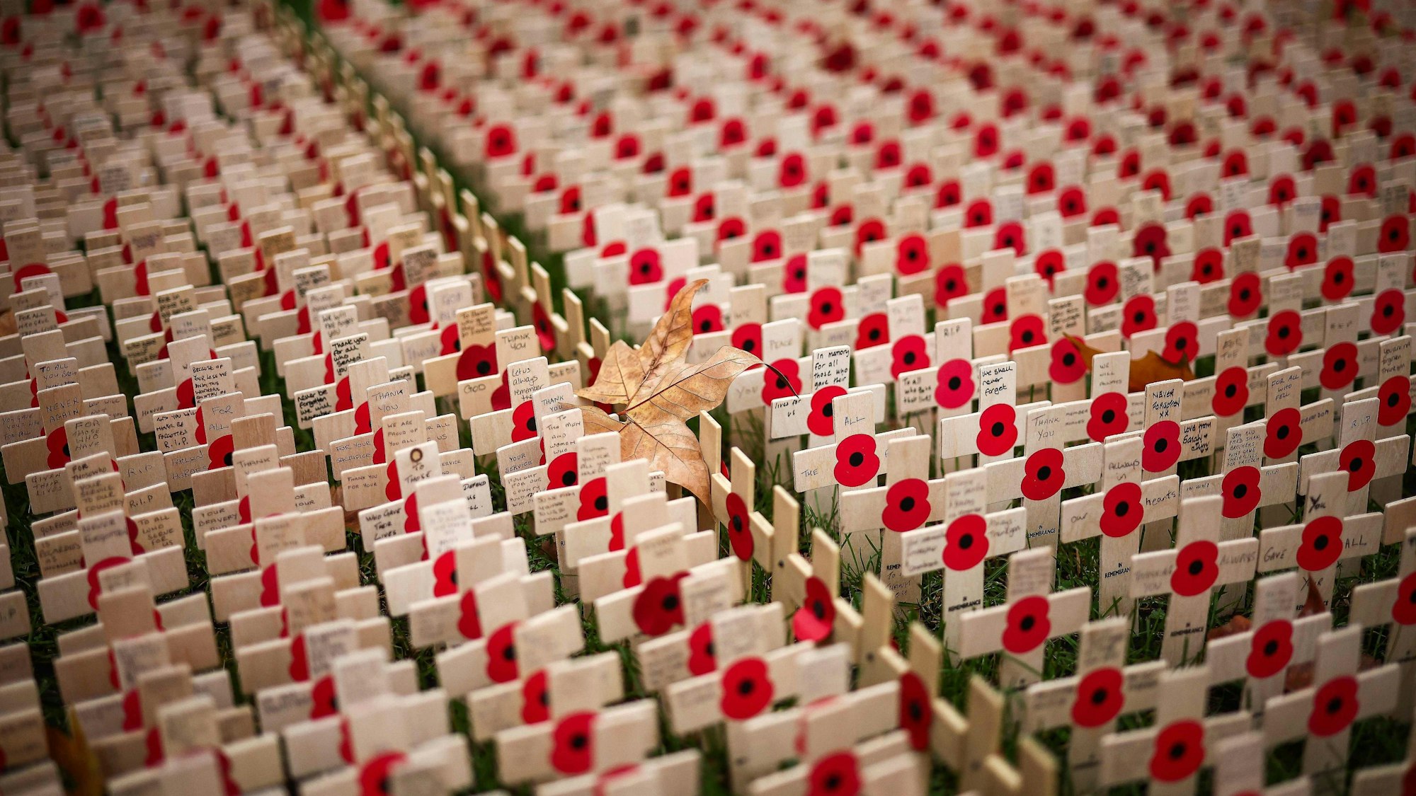 In Großbritannien und dem früheren Empire steht der „Poppy Day“ als Gedenktag im Kalender.