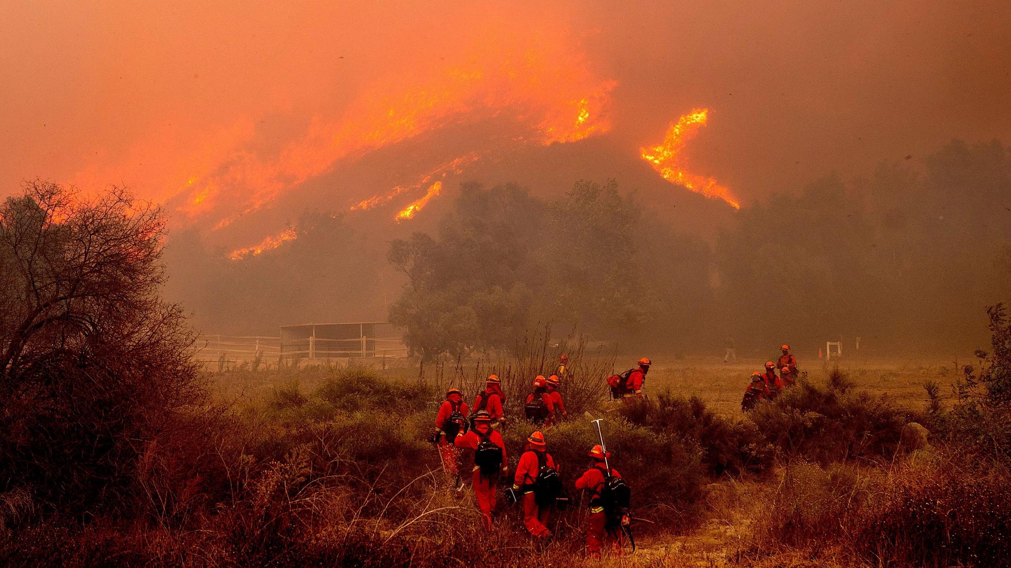 dpatopbilder - 07.11.2024, USA, Moorpark: Feuerwehrleute kämpfen gegen das «Mountain Fire» bei Swanhill Farms.