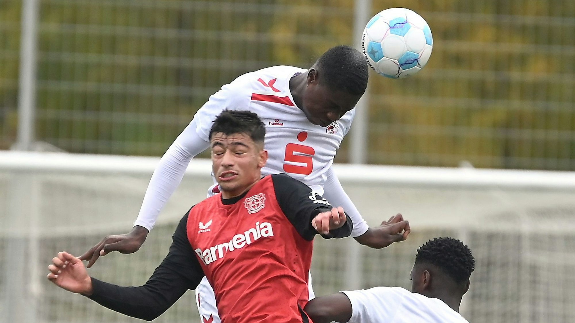 02.11.2024, Fussball-B-Junioren-Bayer 04-1.FC Köln
oben: Assad Kotya-Fofana (KJöln)
mitte: Berkan Ermec (Bayer)
Foto: Uli Herhaus