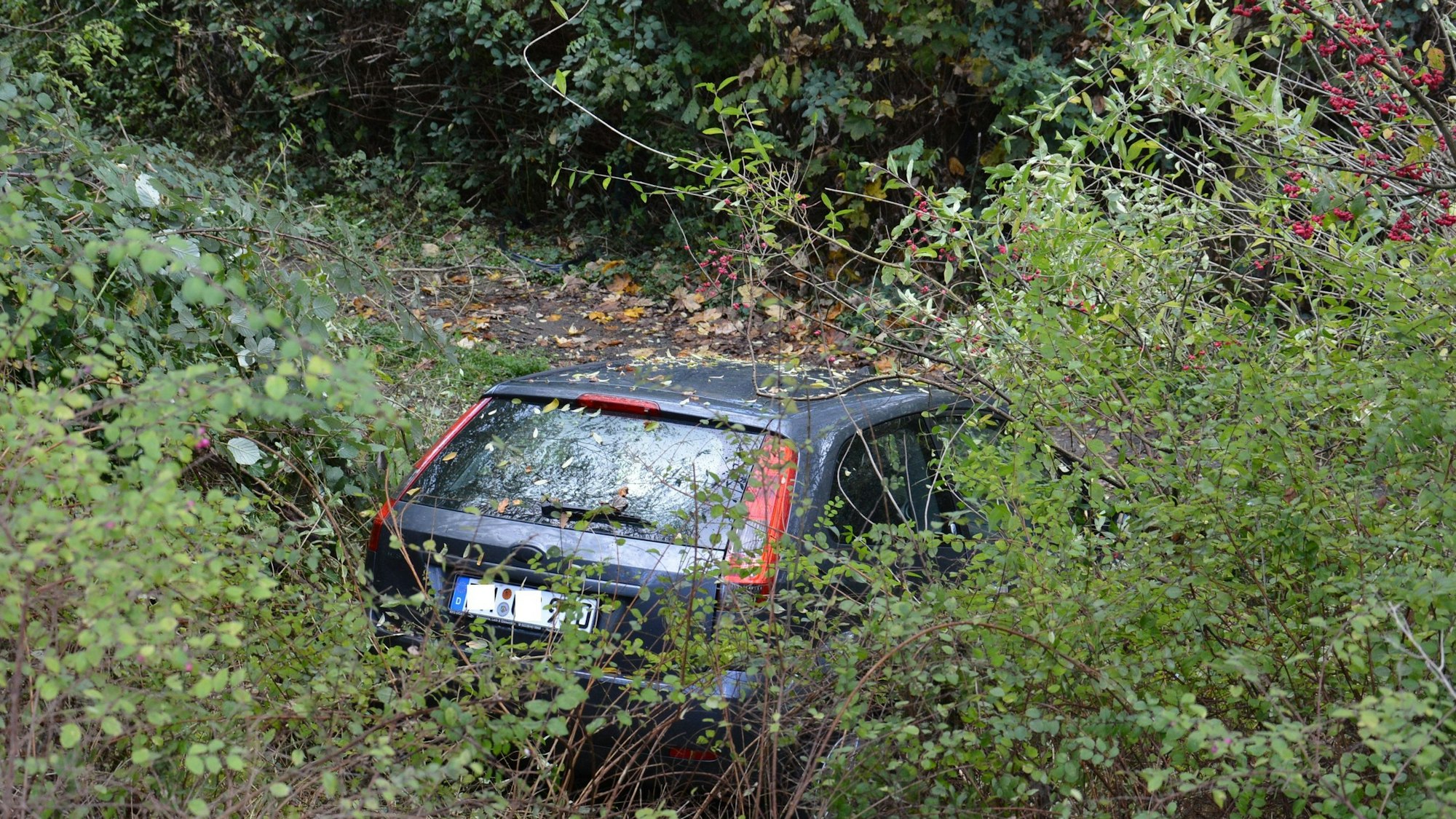 Das Bild zeigt ein Auto in einer Böschung.