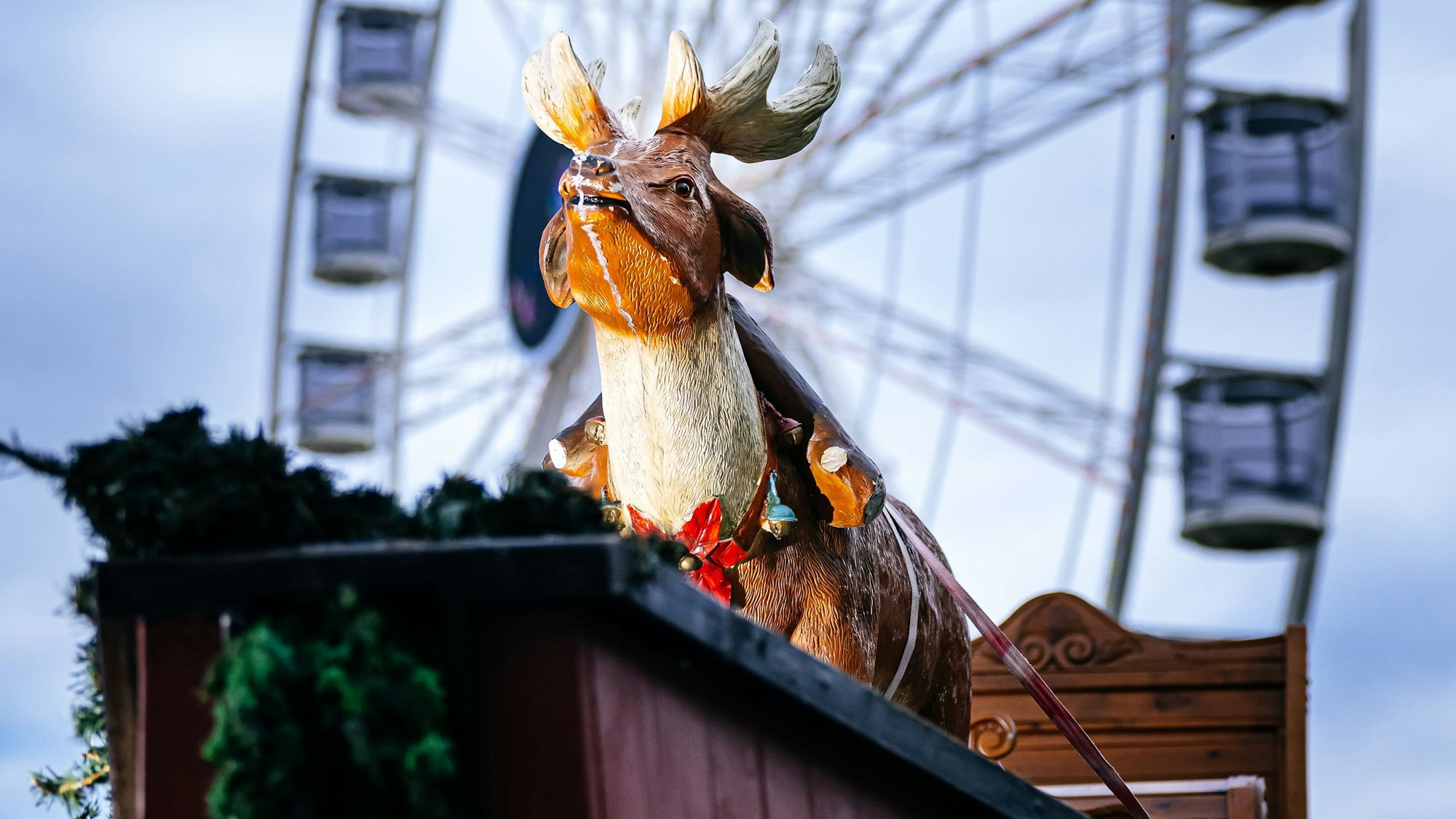 Im Hintergrund sieht man das Riesenrad des Kölner Hafen-Weihnachtsmarkts