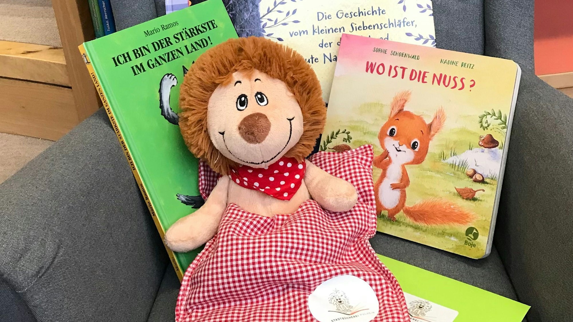 Ein Stofftier-Löwe in einem rot-weiß karierten Schlafsack, er lehnt an Büchern.