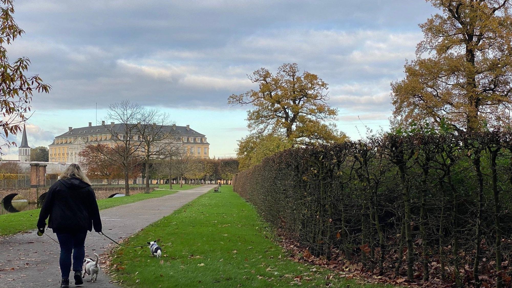 Zu sehen ist eine Spaziergängerin mit Hund im Brühler Schlosspark.