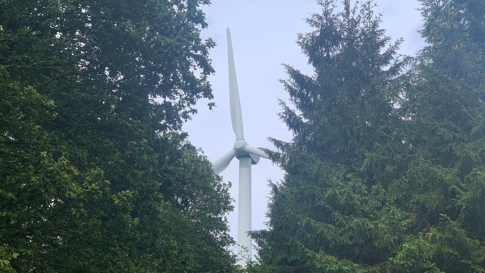 Eine Lücke im Baumbestand gibt den Blick auf eine Windenergieanlage frei.