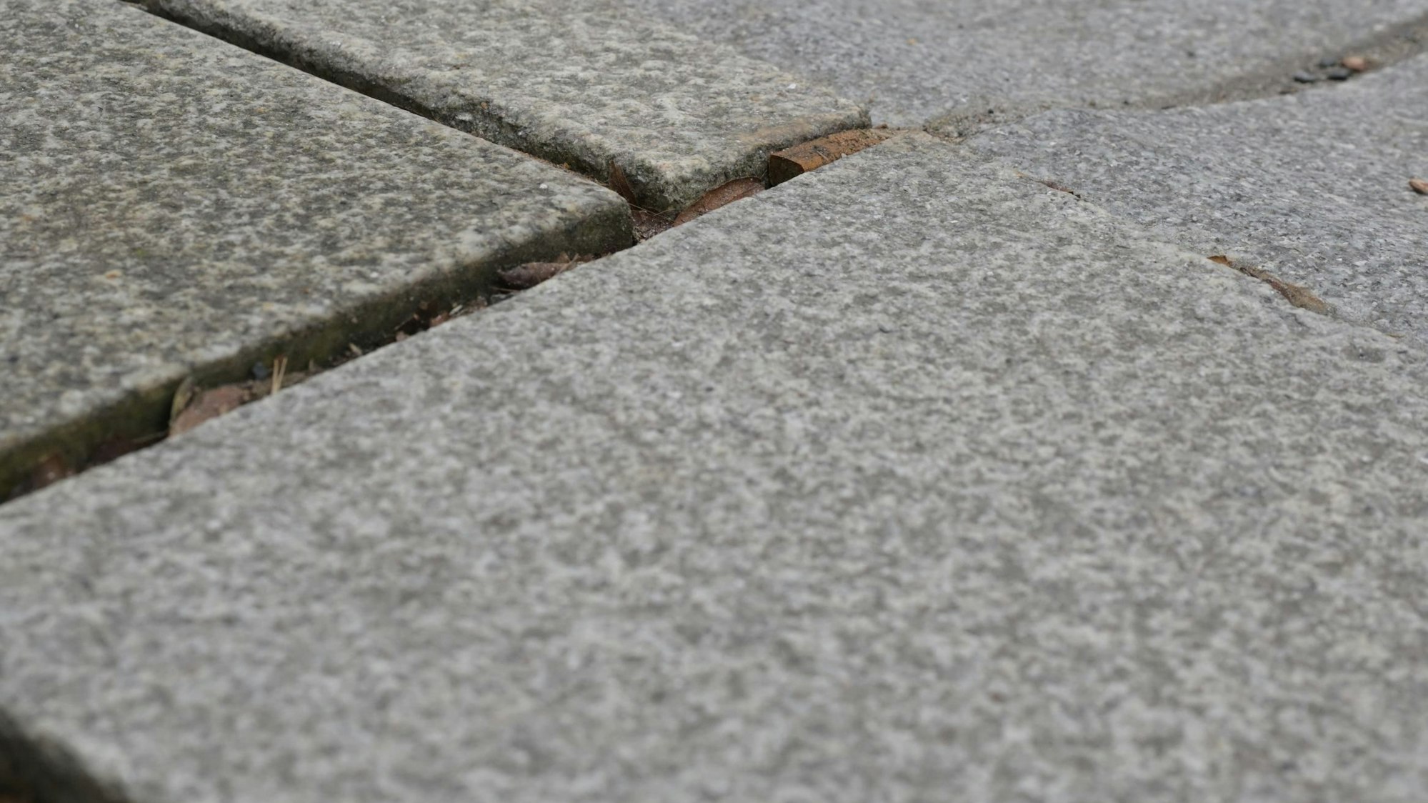 Man sieht die breiten Lücken zwischen den Pflastersteinen.