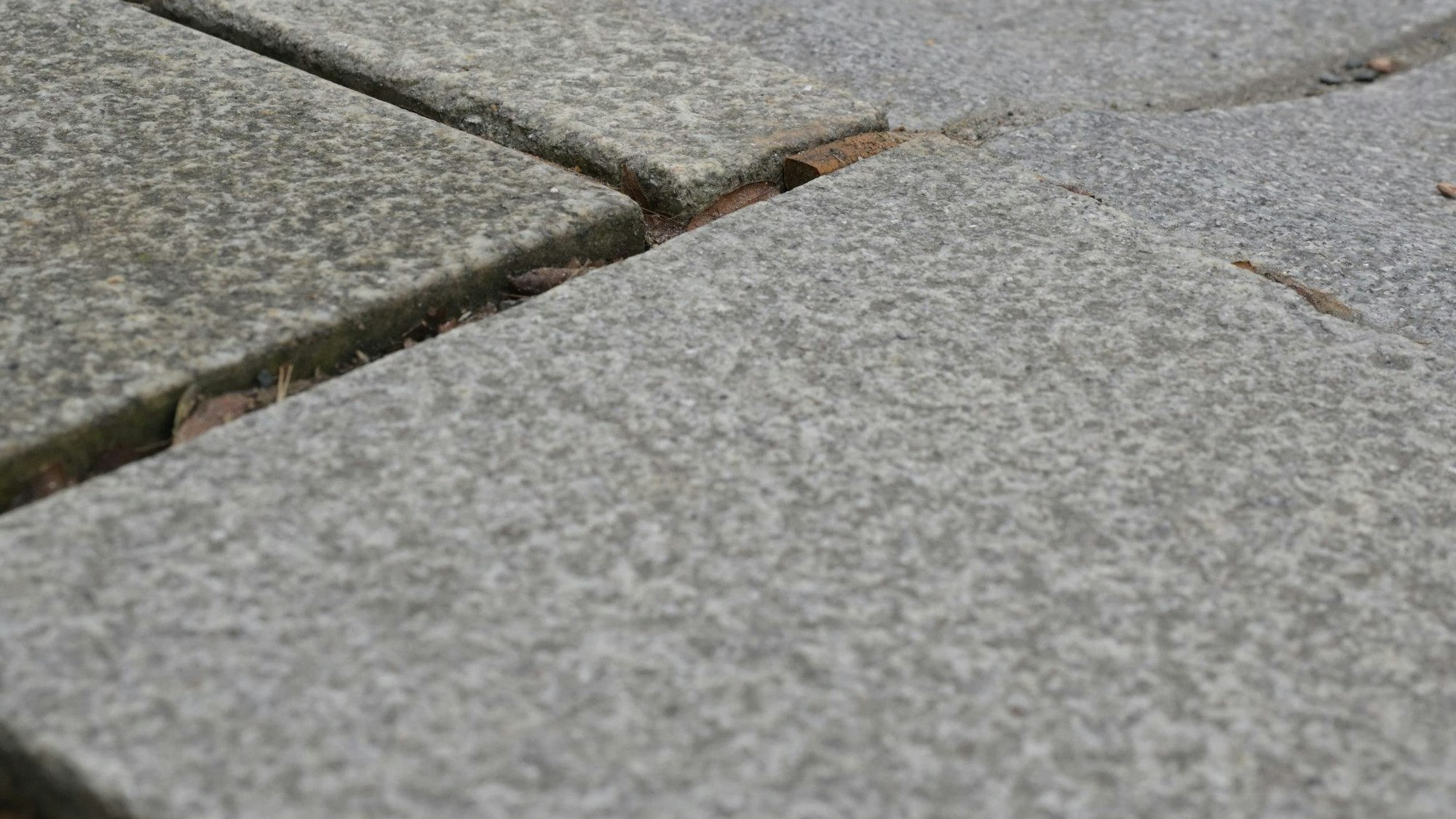 Man sieht die breiten Lücken zwischen den Pflastersteinen.