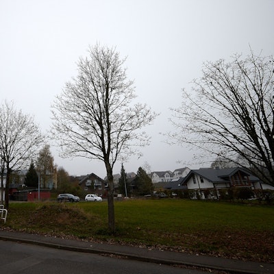 Im Vordergrund stehen karge Bäume an einer Straße unter grauem Himmel. Im Hintergrund sind Gebäude und Autos zu sehen.