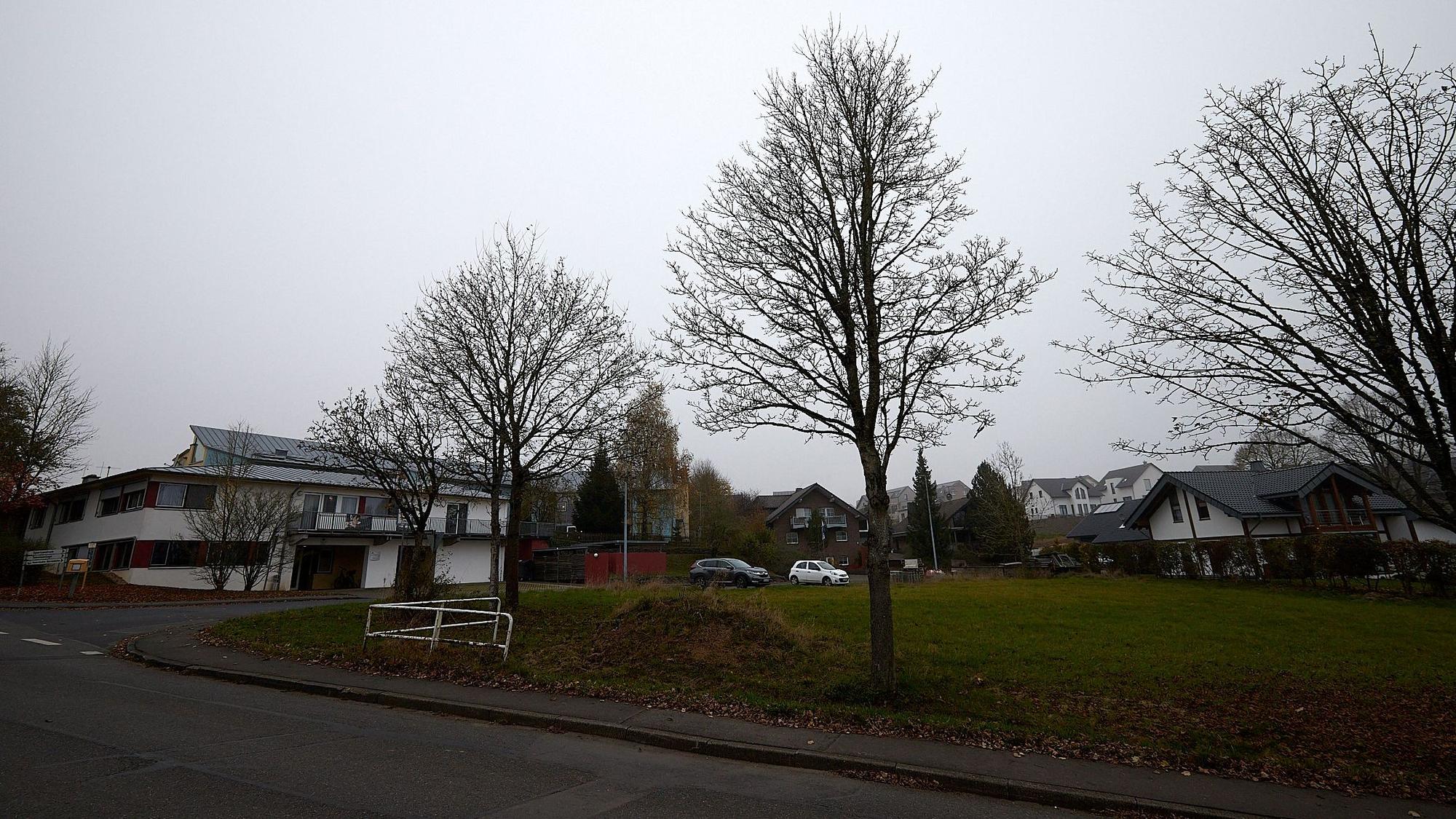 Im Vordergrund stehen karge Bäume an einer Straße unter grauem Himmel. Im Hintergrund sind Gebäude und Autos zu sehen.