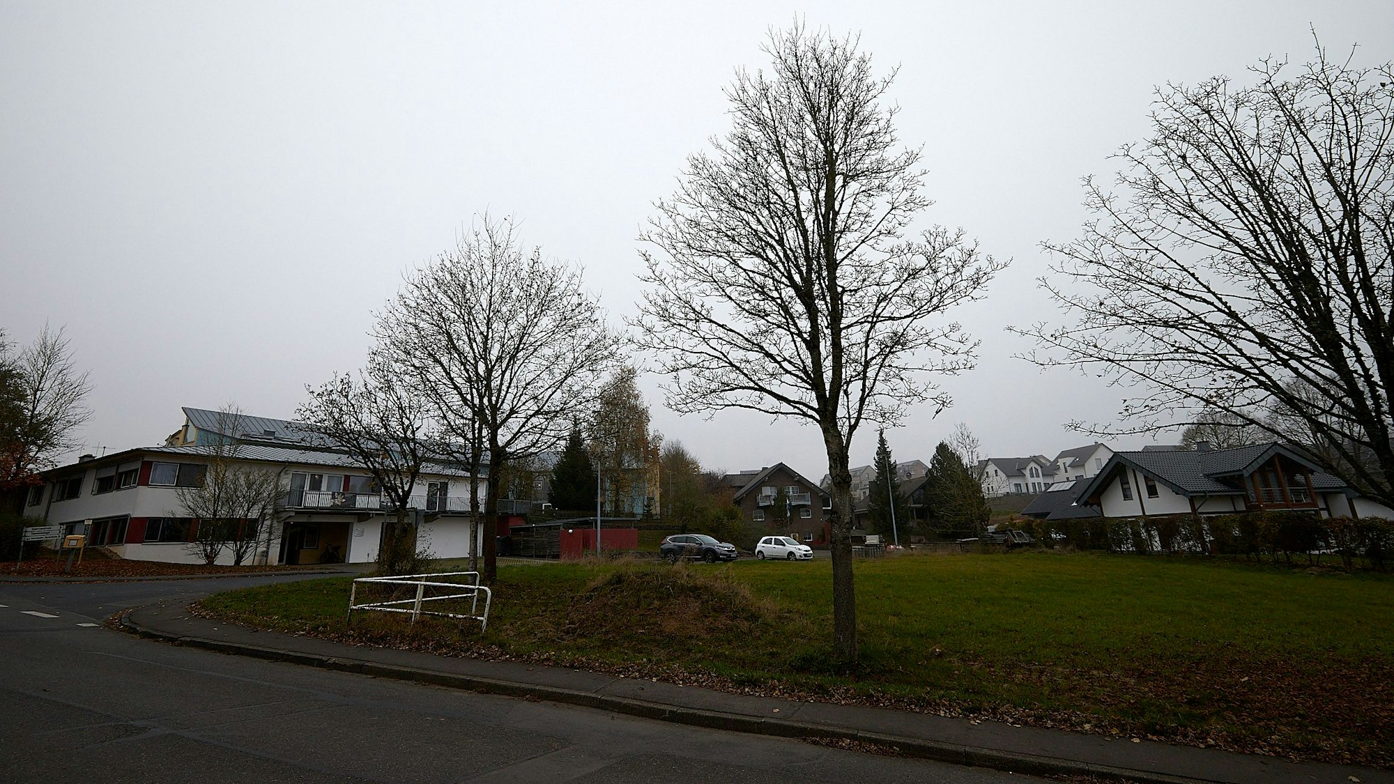 Im Vordergrund stehen karge Bäume an einer Straße unter grauem Himmel. Im Hintergrund sind Gebäude und Autos zu sehen.