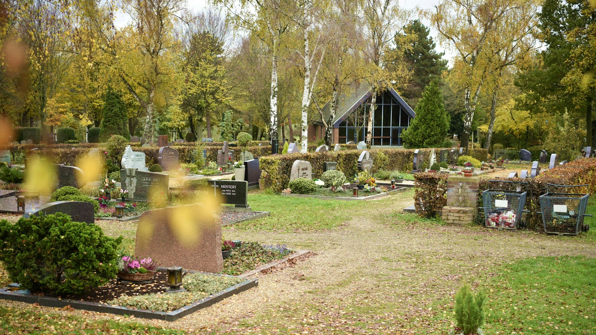 Das Bild zeigt einige Gräber auf dem Friedhof in Zülpich im Herbst. An den Birken rundherum hängen gelbe Blätter.