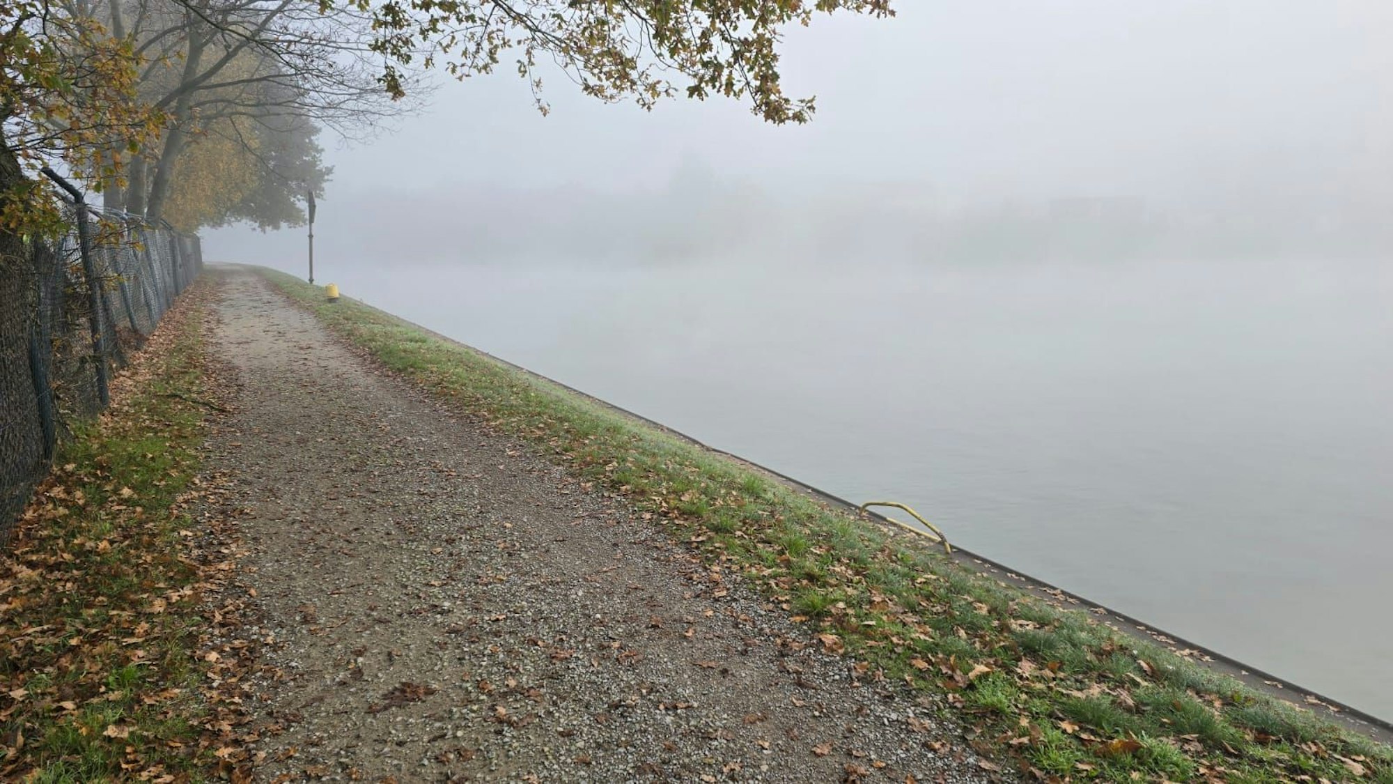 Weg am Rand eines Kanals, neblig