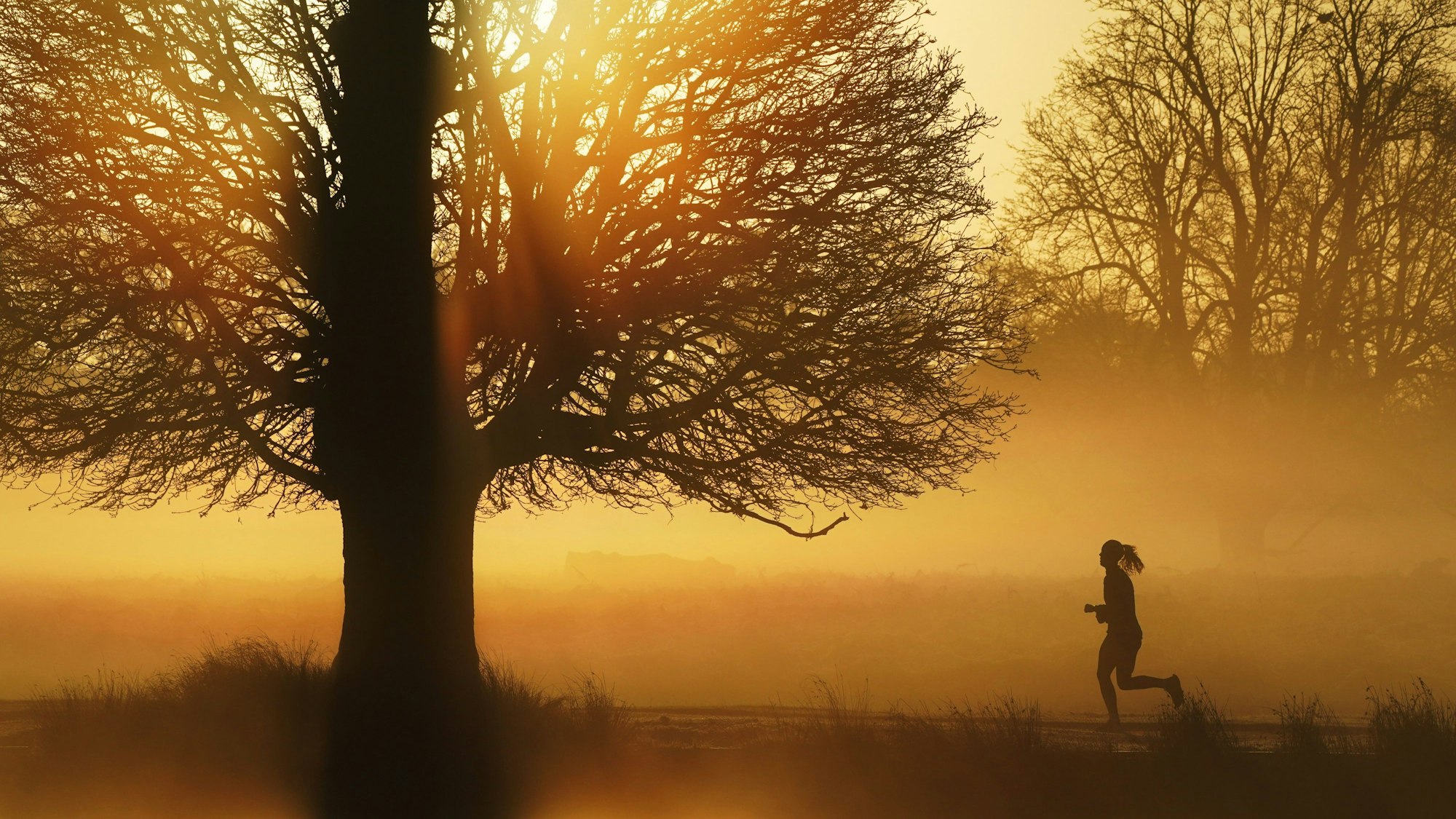 Eine Frau joggt auf einem nebligen Weg, während am Horizont die Sonne aufgeht