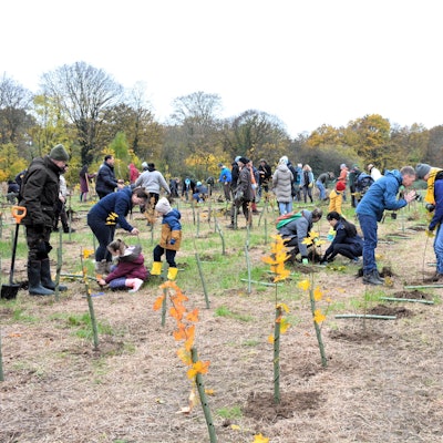Zahlreiche Menschen waren auf das Gelände an der Frankfurter Straße gekommen, um neue Bäume zu pflanzen.