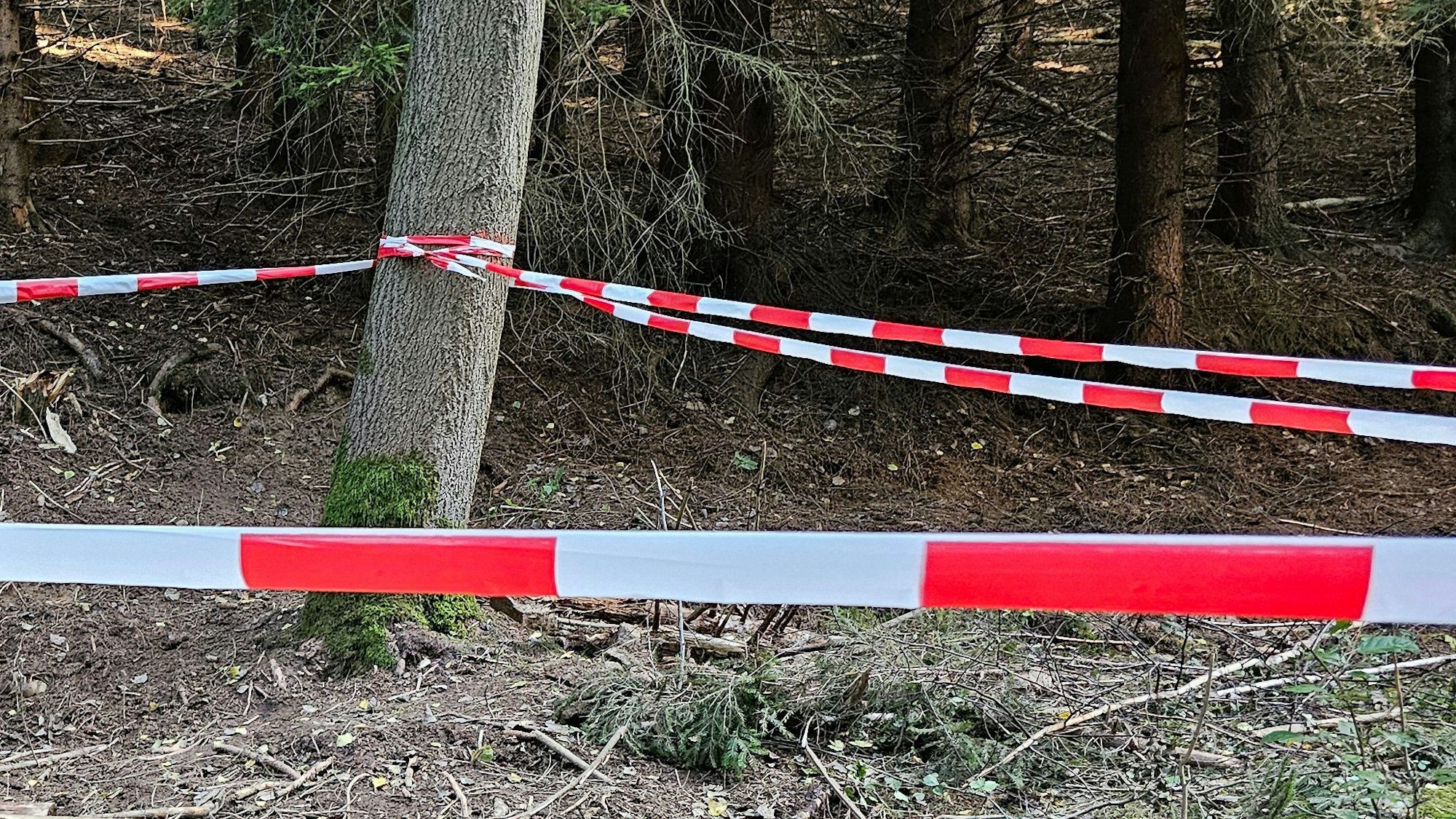 Eine Absperrung in einem Waldstück.