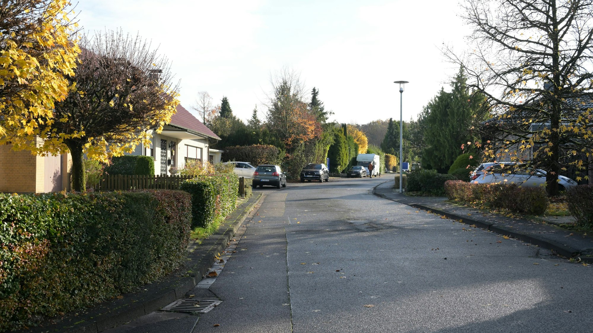 Eine schöne Einfamilienhaussiedlung ist die „Blaue Siedlungen“.