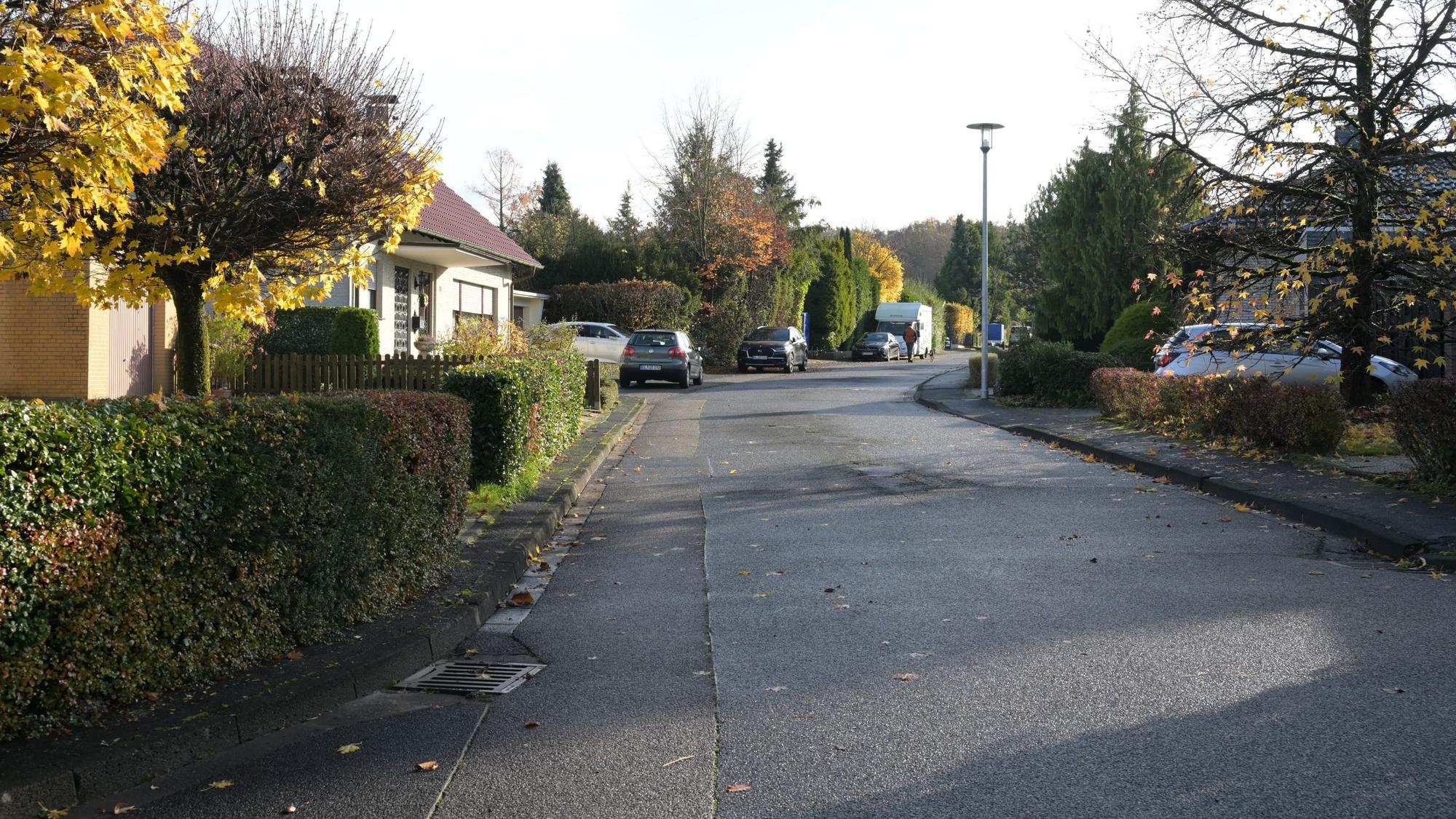 Eine Straße ist zu sehen, an der Einfamilienhäuser stehen.