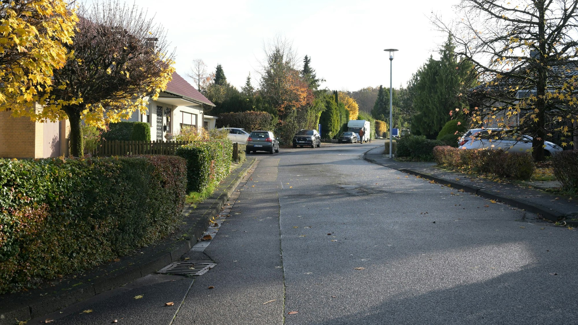 Eine Straße ist zu sehen, an der Einfamilienhäuser stehen.