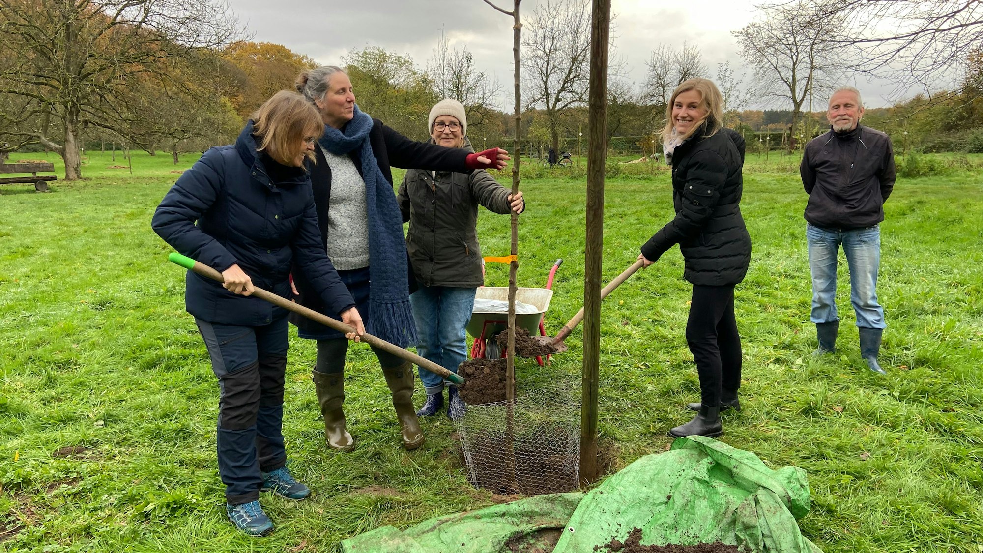 Auf einer Wiese stehen vier Frauen, die einen Baum pflanzen. Ein Mann schaut zu.