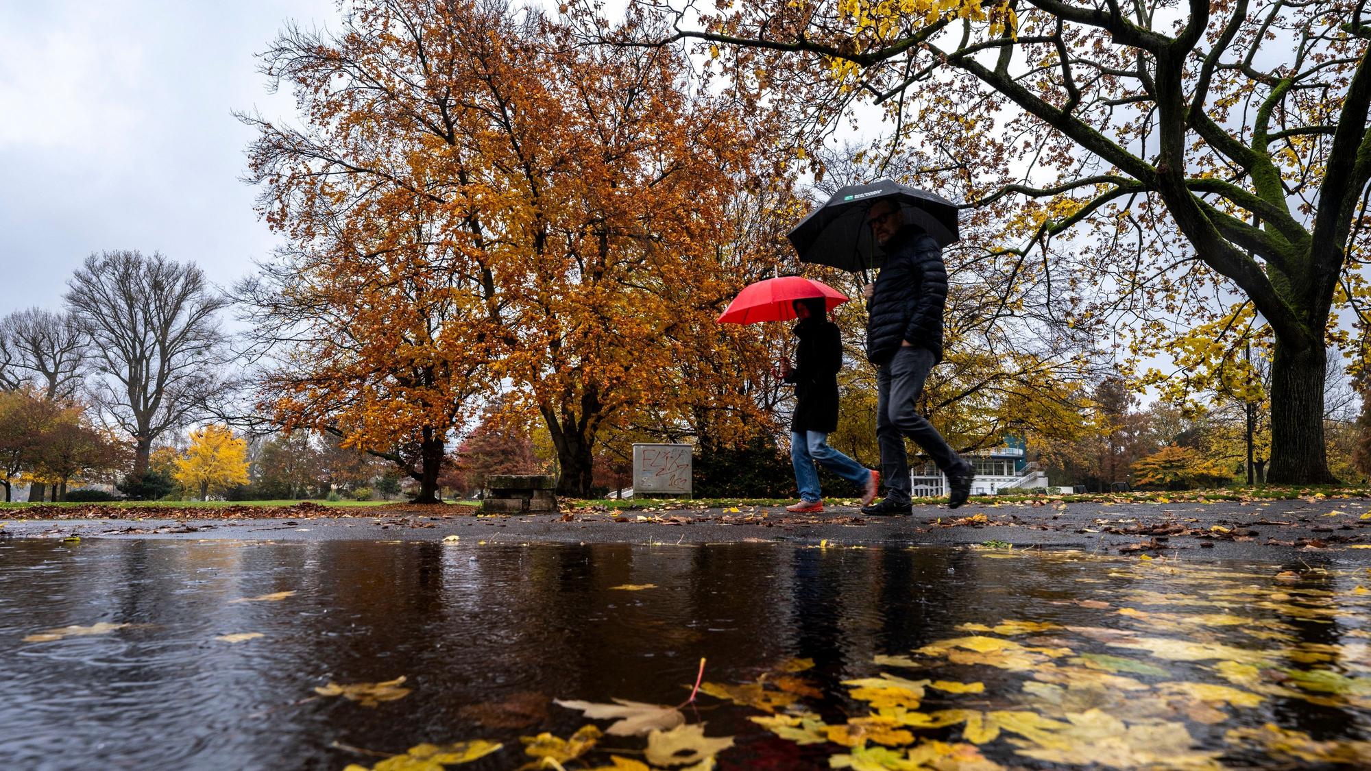 Im Kölner Rheinpark sollten Spaziergänger auch in den kommenden Tagen einen Regenschirm mitnehmen. Das Wetter bleibt regnerisch.