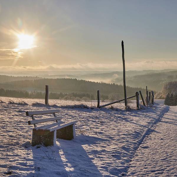 Das Bild zeigt eine verschneite Landschaft in der Eifel.