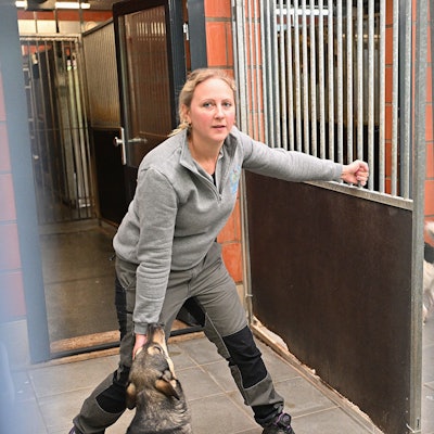 Das Foto zeigt den Hundegang des Tierheims Kürten
