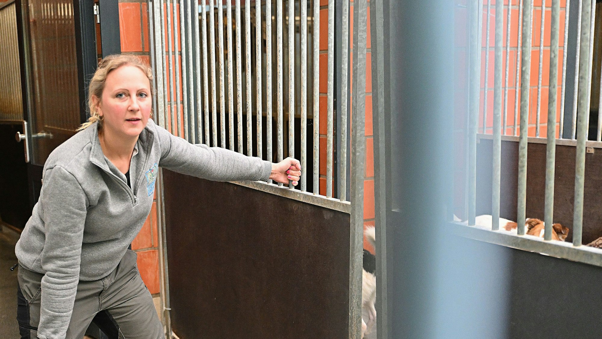 Das Foto zeigt den Hundezwinger im Tierheim Kürten