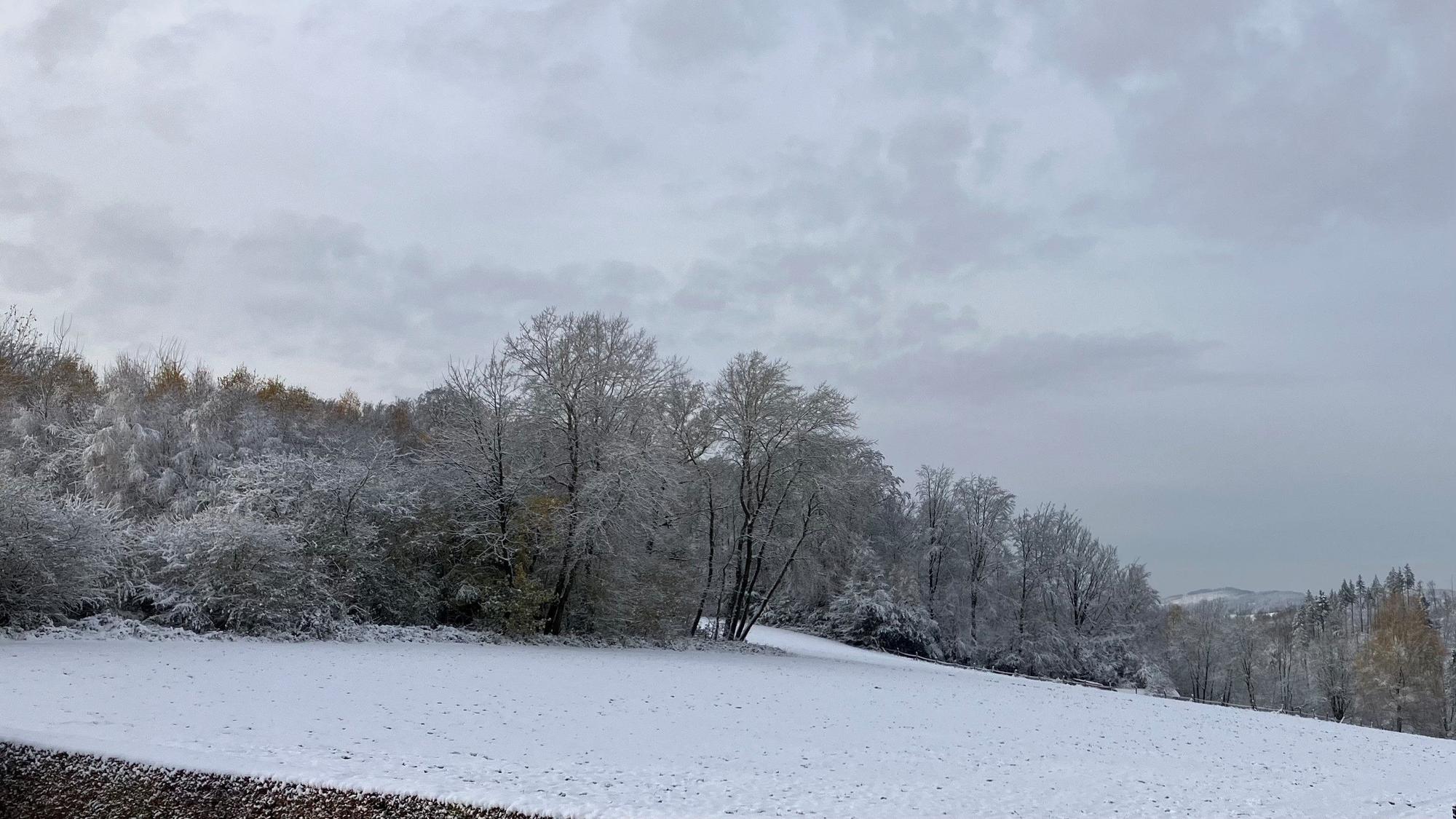 Schneelandschaft, aufgenommen in Engelskirchen-Wahlscheid.