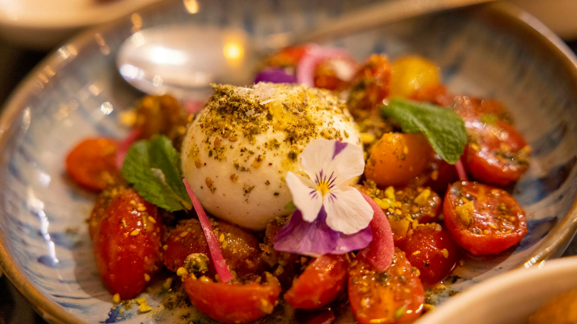 Orientalisierte Burrata mit Tomatensalat, gepickelten Zwiebeln und Pistazien.
