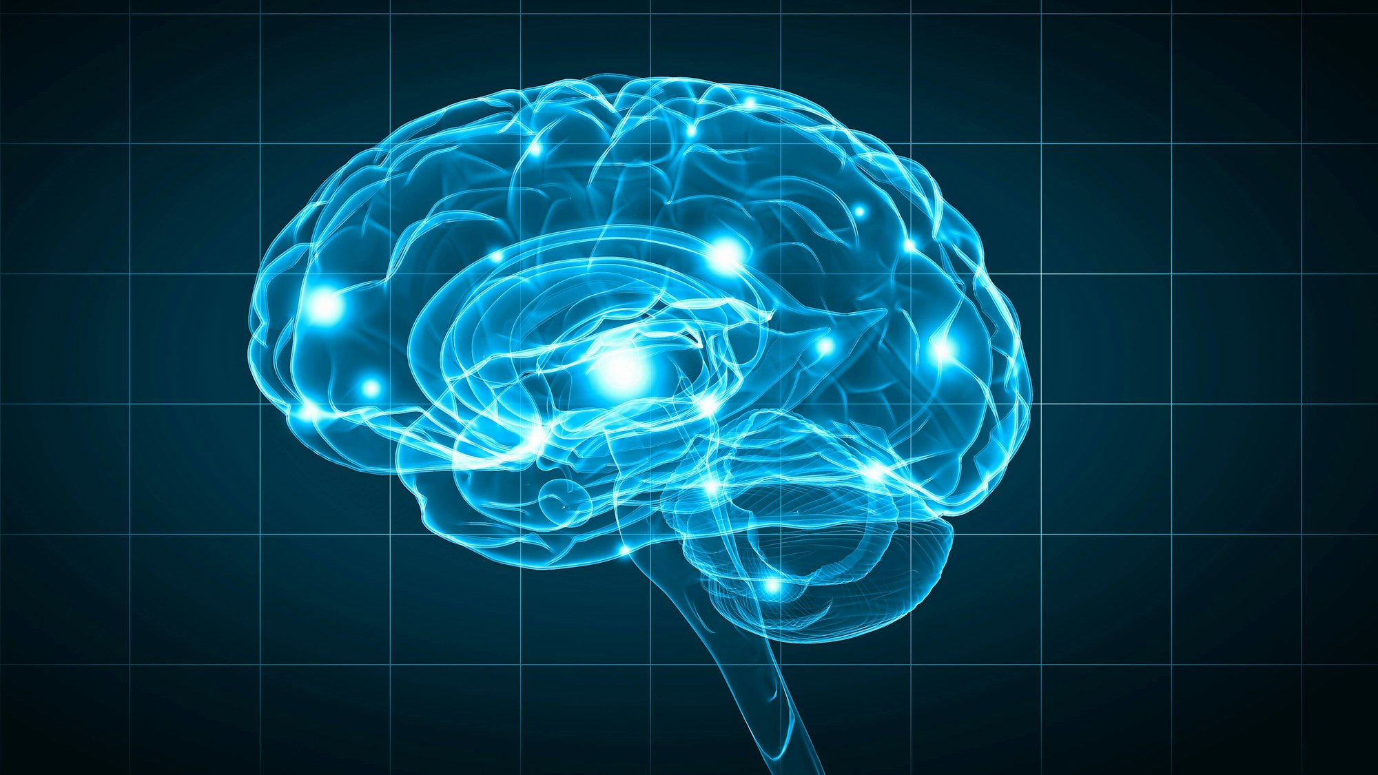 Künstliche Abbildung eines Gehirns