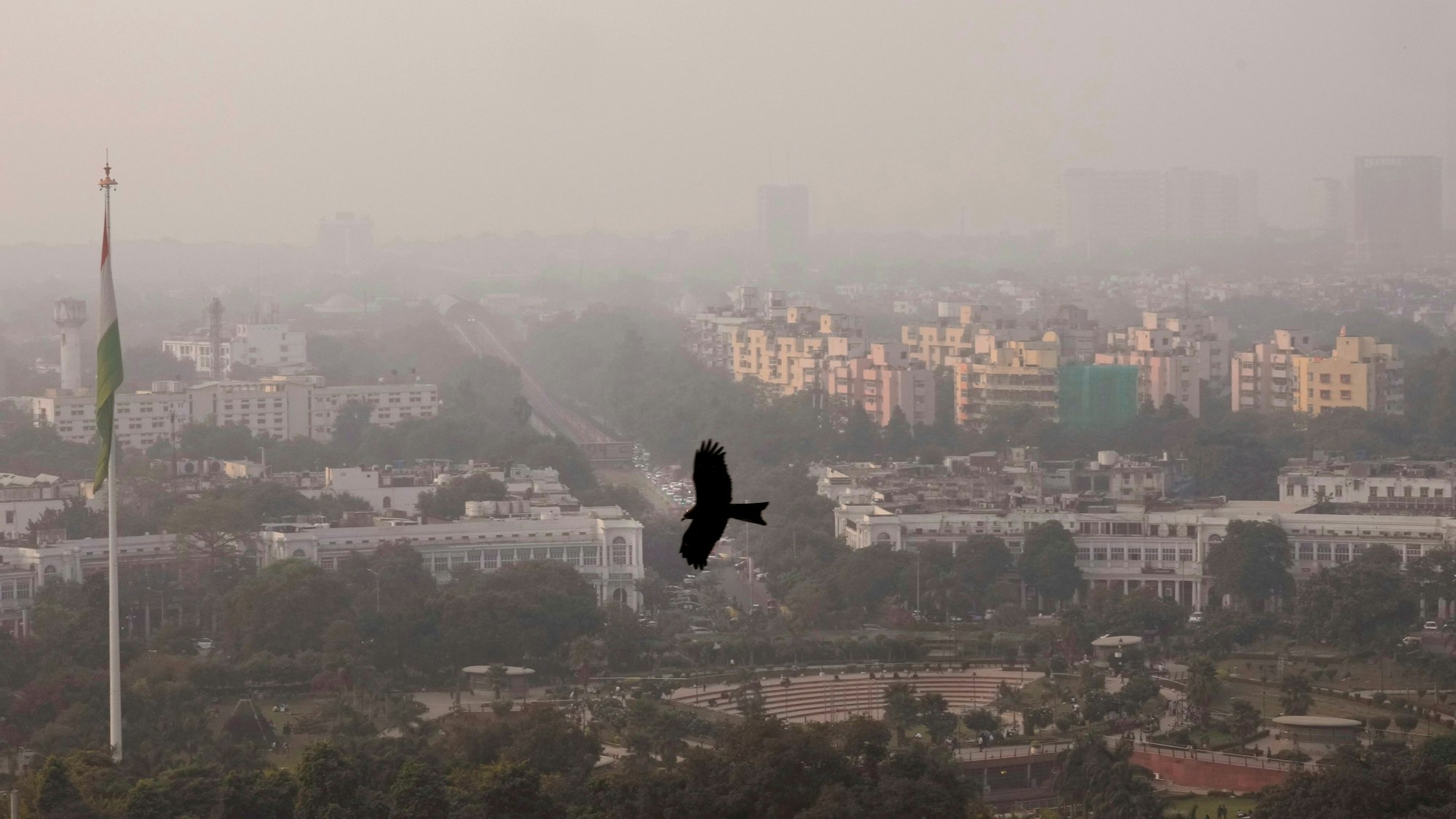 In Indien ist ein tot geglaubter junger Mann kurz vor seiner geplanten rituellen Verbrennung wieder zu Bewusstsein gekommen.
