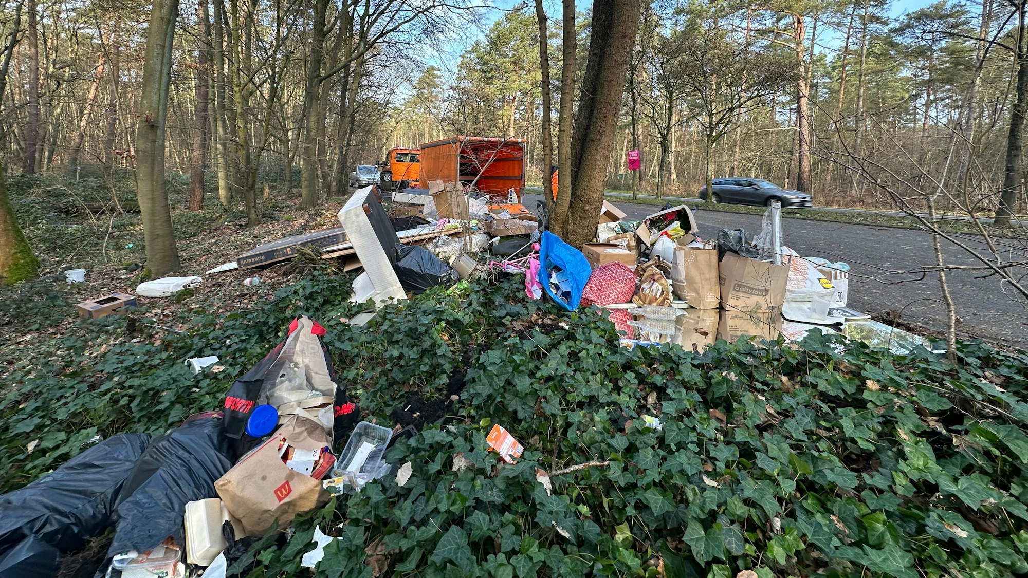 Ein Müllhaufen liegt am Straßenrand in einem Waldstück, ein Abfallwagen ist im Hintergrund zu sehen.