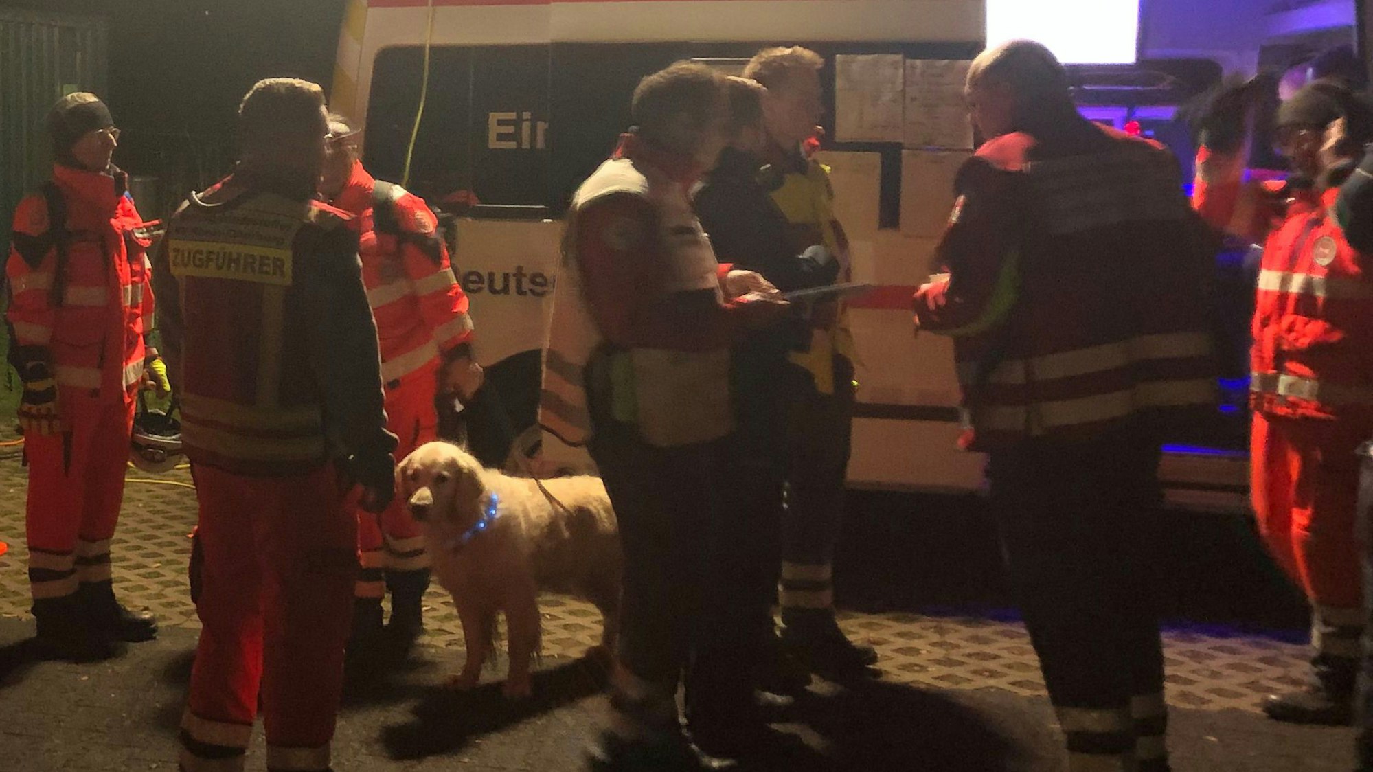 Das Bild zeigt mehrere Einsatzkräfte mit Suchhunden.