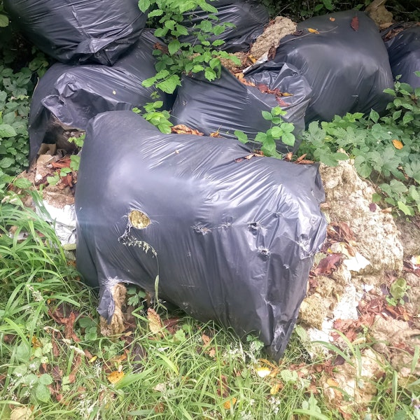 Das Foto zeigt zugewachsene, teils eingerissene Müllsäcke, gefüllt mit Dämmmaterial.