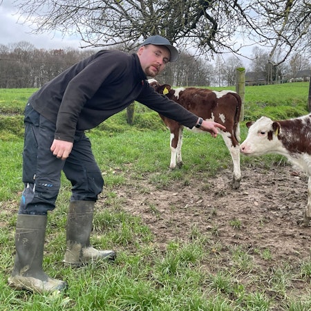 Ein junger Mann beugt sich zu einem Kälbchen herunter.