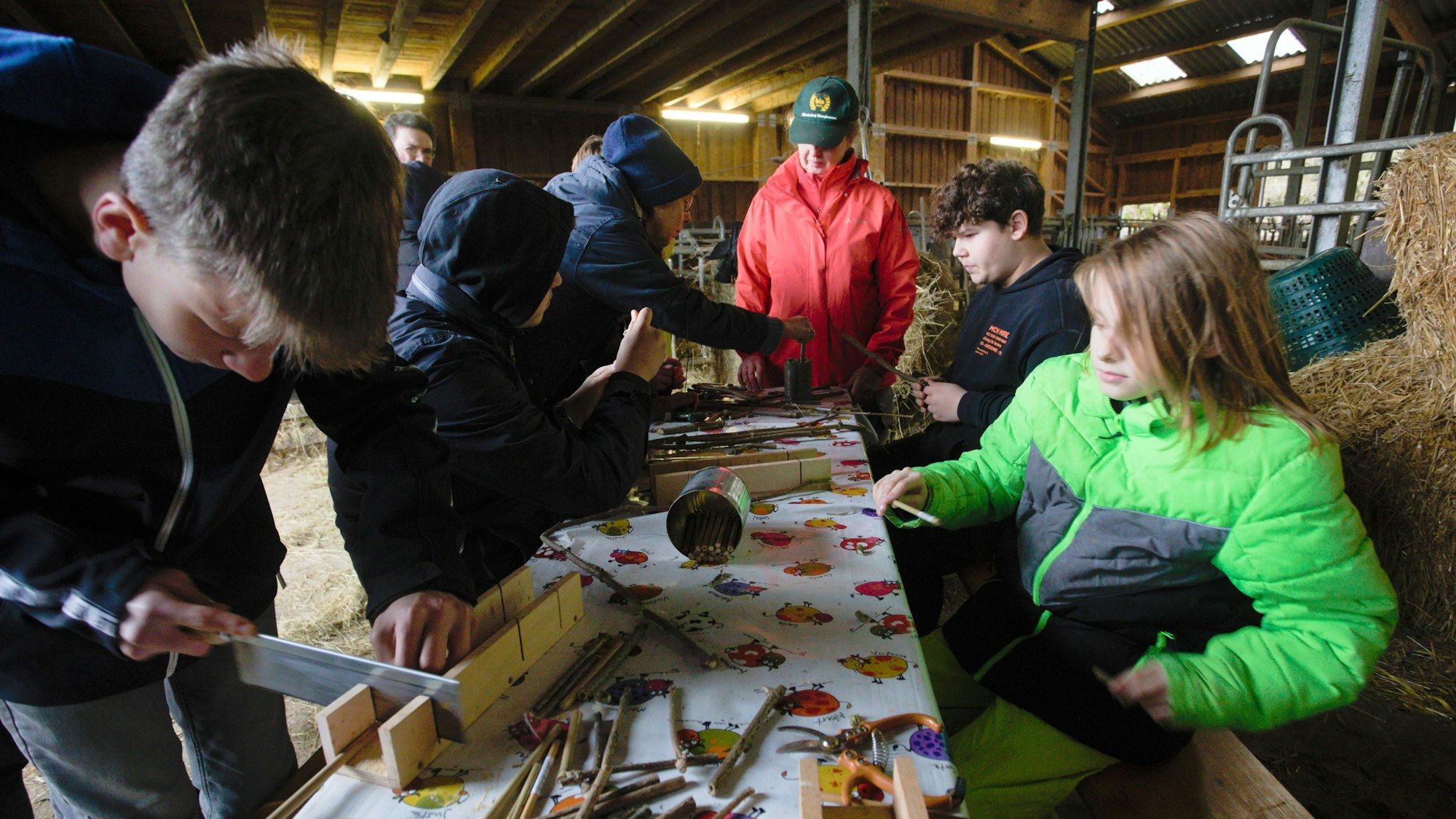 Jugendliche sägen Äste passend.