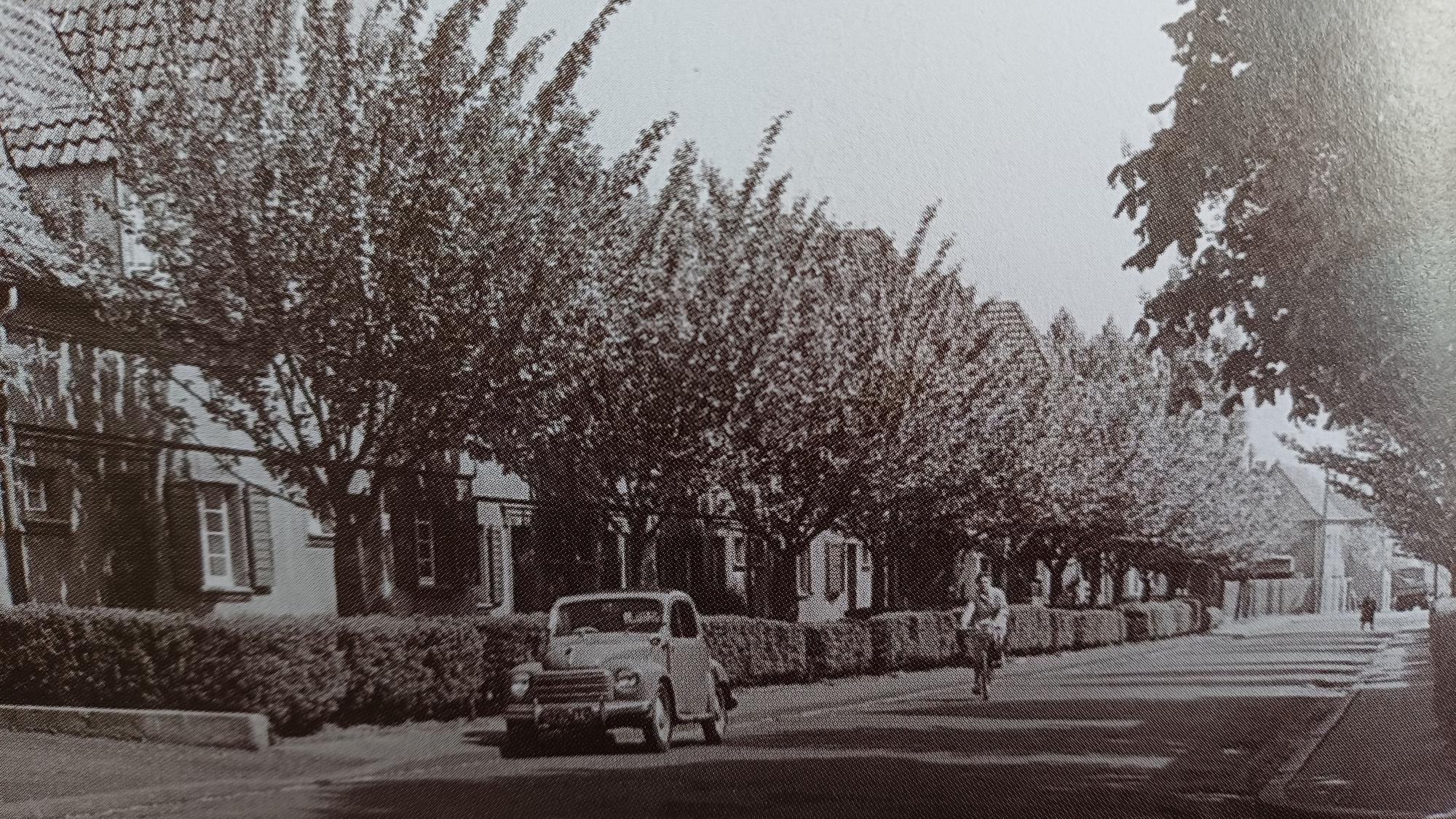 Das Foto zeigt die Friedensstraße um 1954