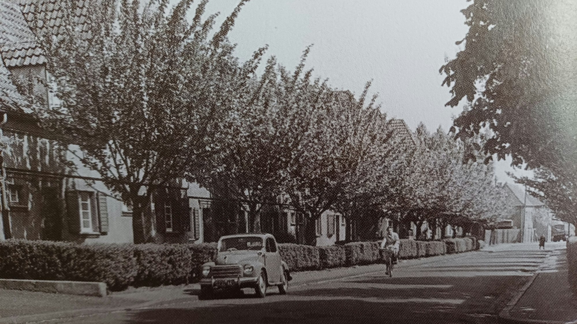 Das Foto zeigt die Friedensstraße um 1954
