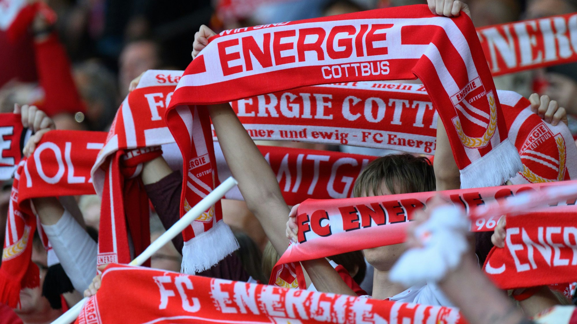 Fans von Energie Cottbus