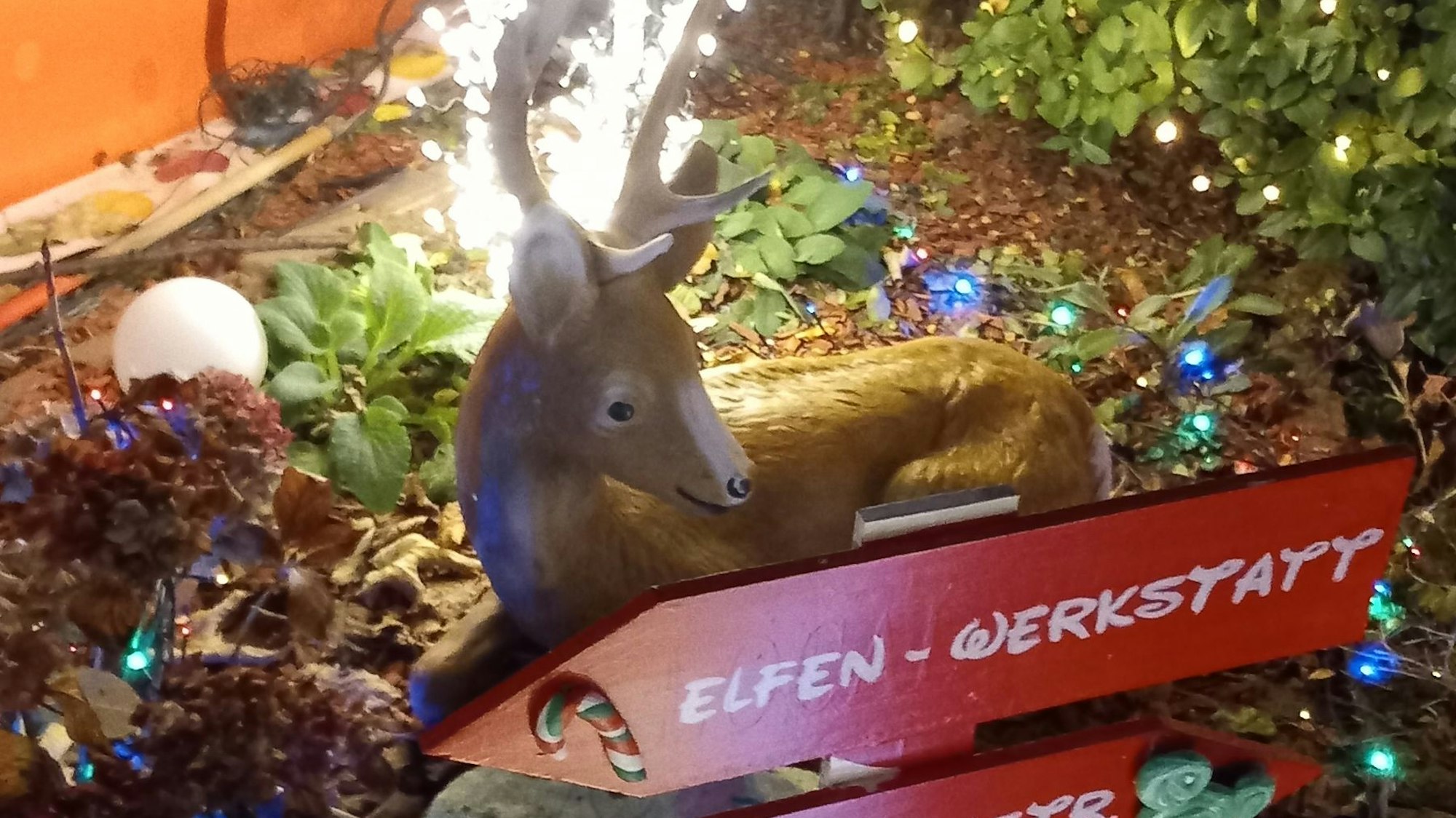 Viele Details verbergen sich zwischen Licht und Schatten.