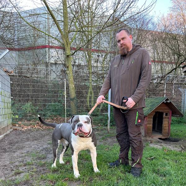 Loki ist wieder zurück im Tierheim in Troisdorf.