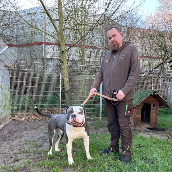 Loki ist wieder zurück im Tierheim in Troisdorf.
