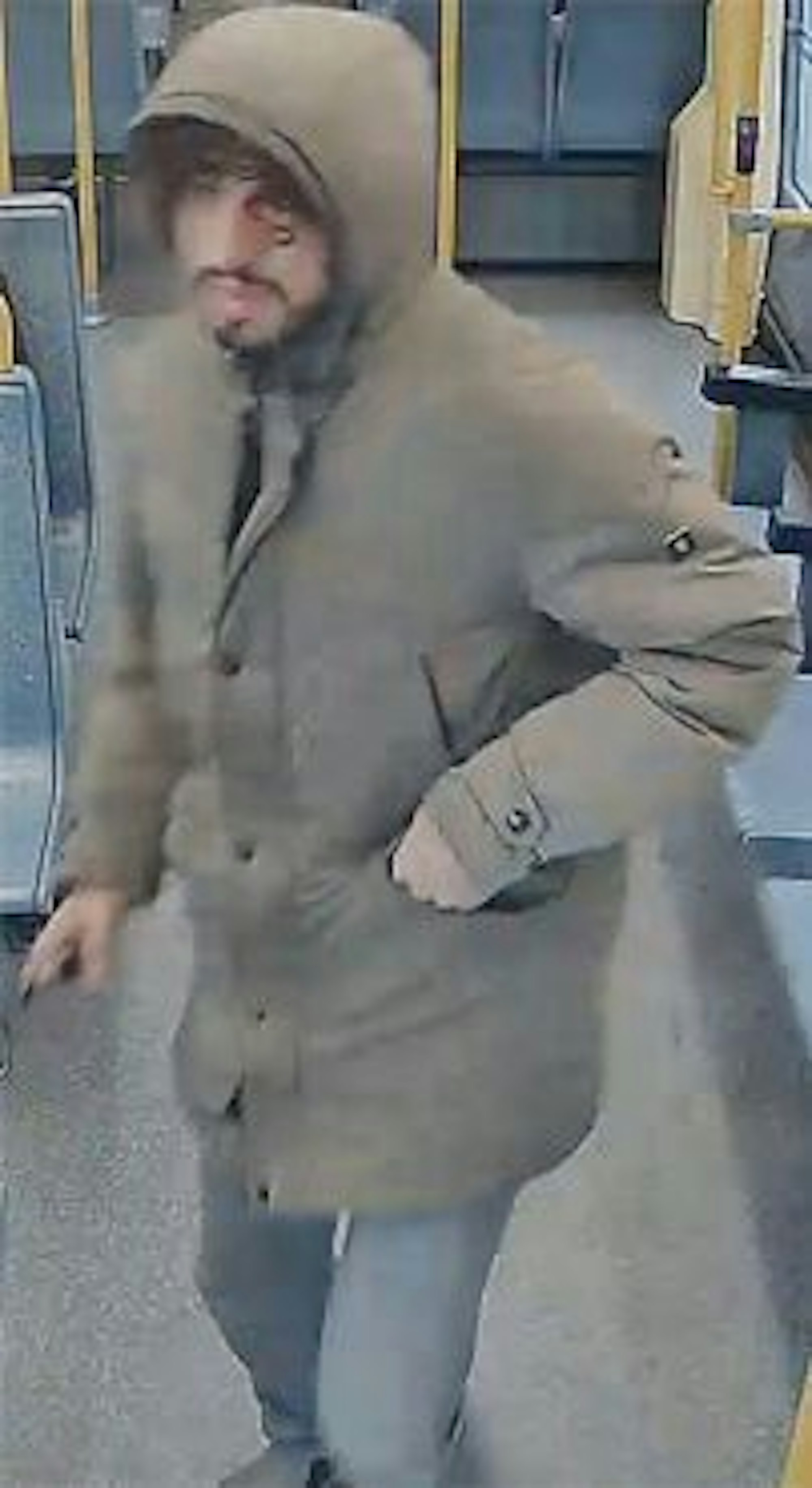 Versuchter Mord, Tatverdächtiger Linie 9