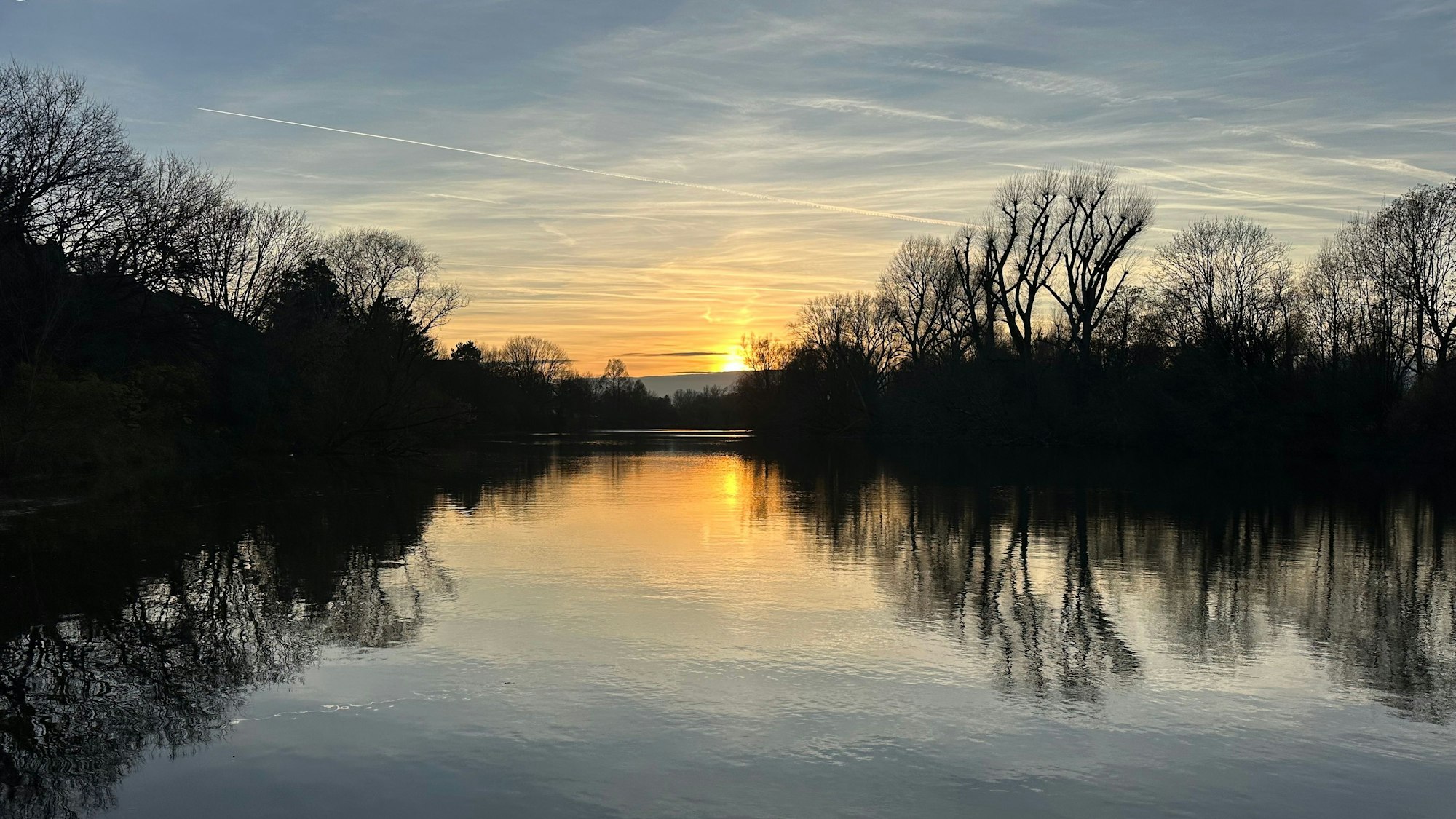 Die Weiden am Ufer der Groov bieten den Bibern ausreichend Nahrung.