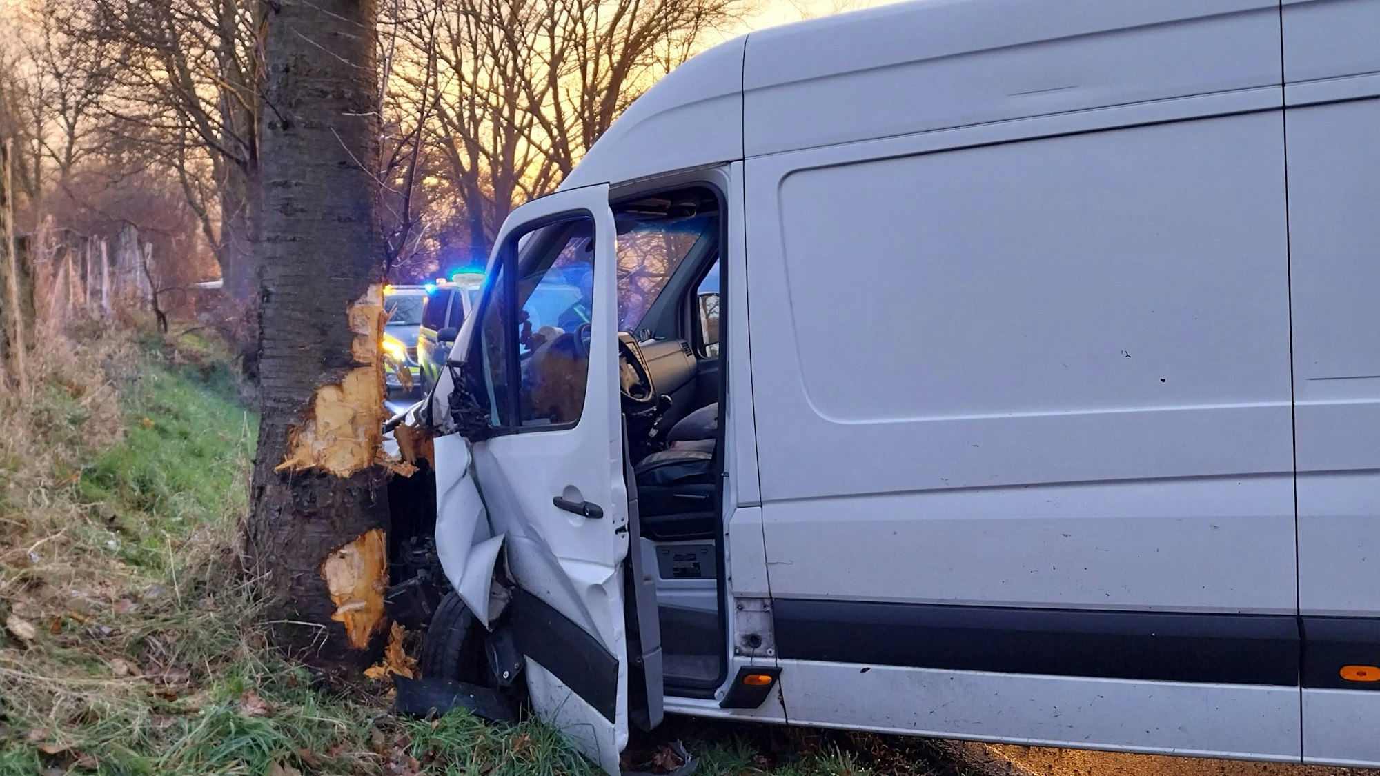 Beim Zusammenstoß mit einem Baum wurde der Fahrer dieses Kleintransporters leicht verletzt.
