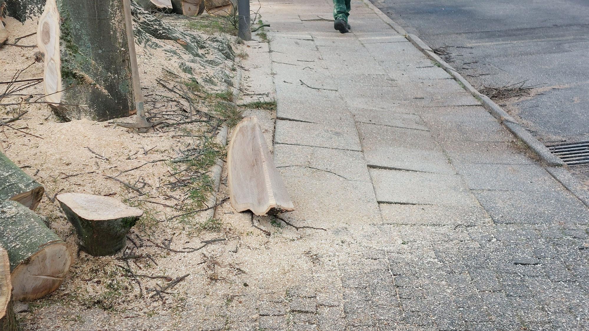 Ein Gehweg aus Betonplatten, die schräg liegen und teilweise auch aus der Fläche herausragen.